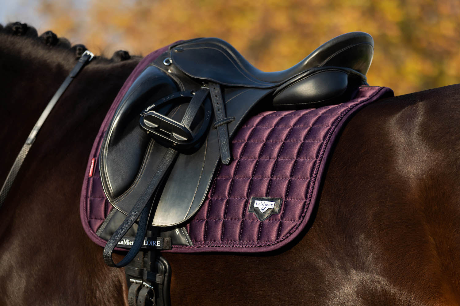 LeMieux saddle pad Loire Classic Satin Dressage Square fig