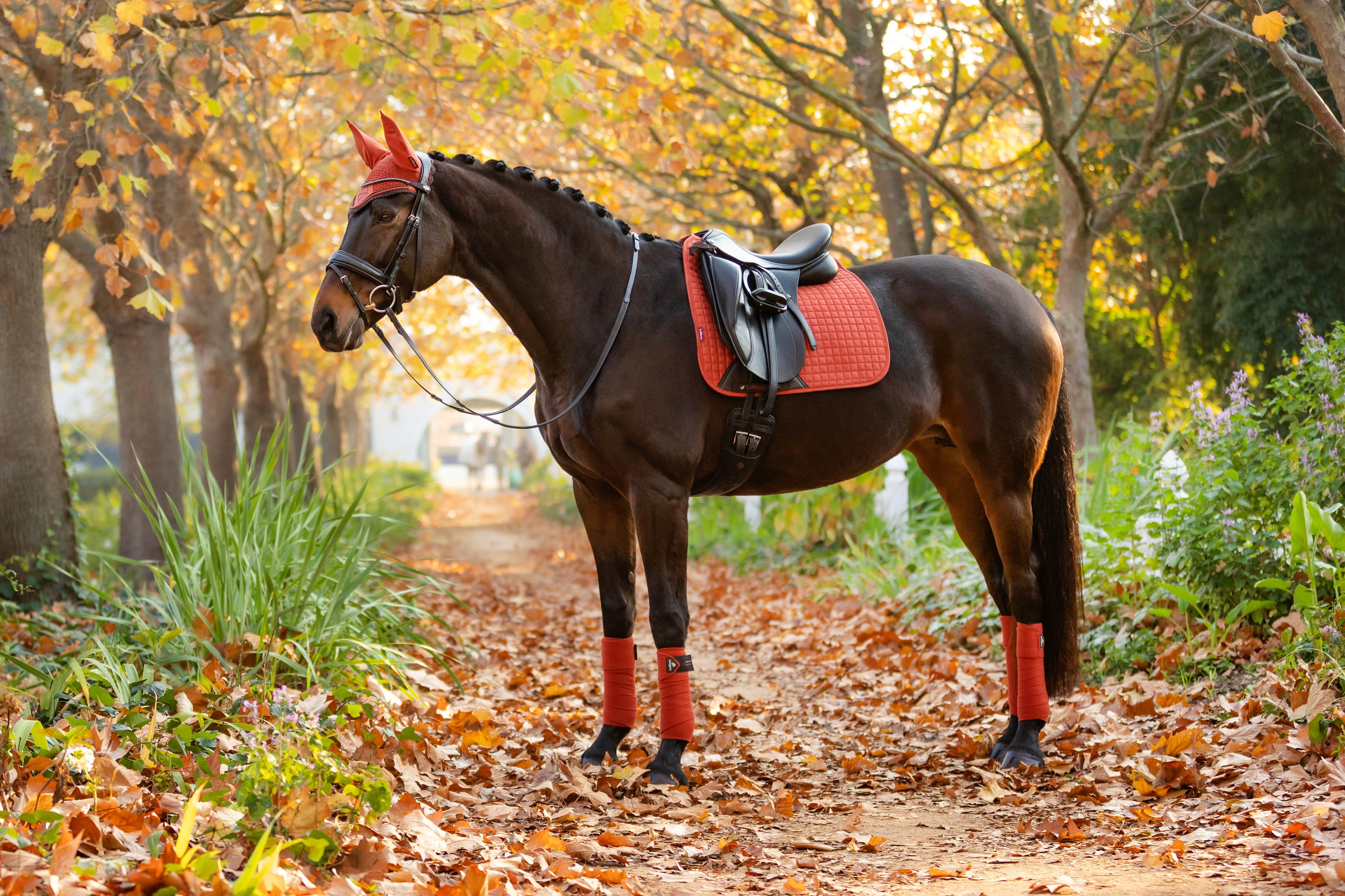 LeMieux Schabracke Luxury Suede Dressage Square sienna