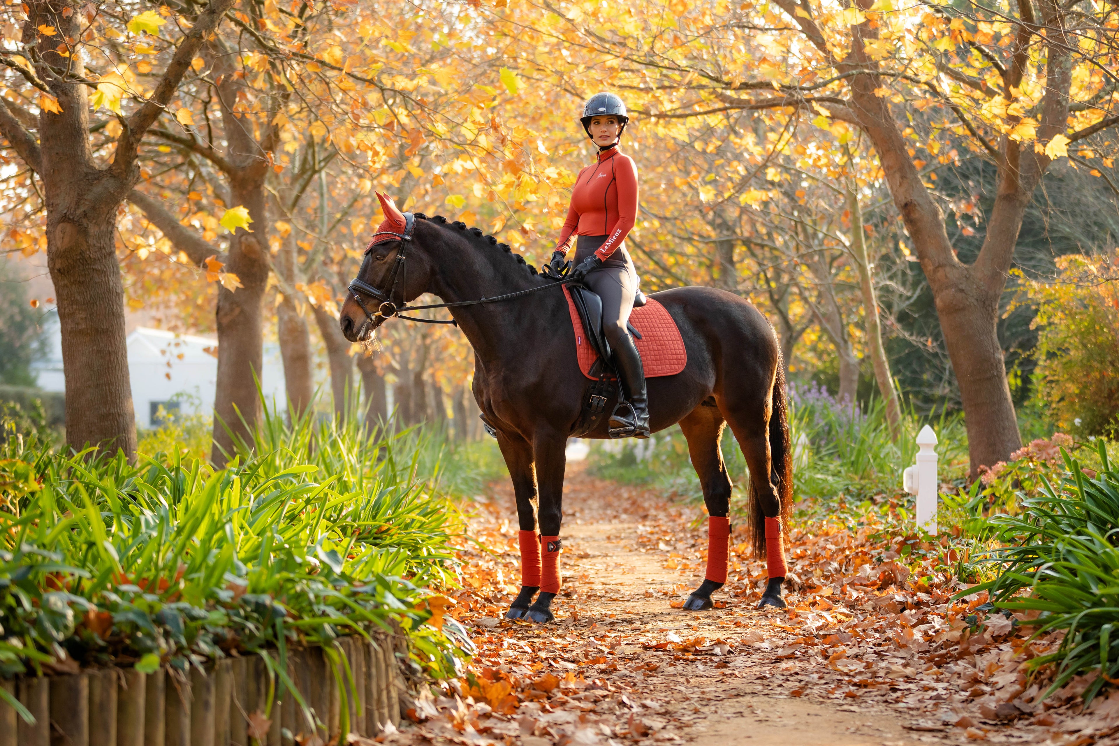 LeMieux Schabracke Luxury Suede Dressage Square sienna