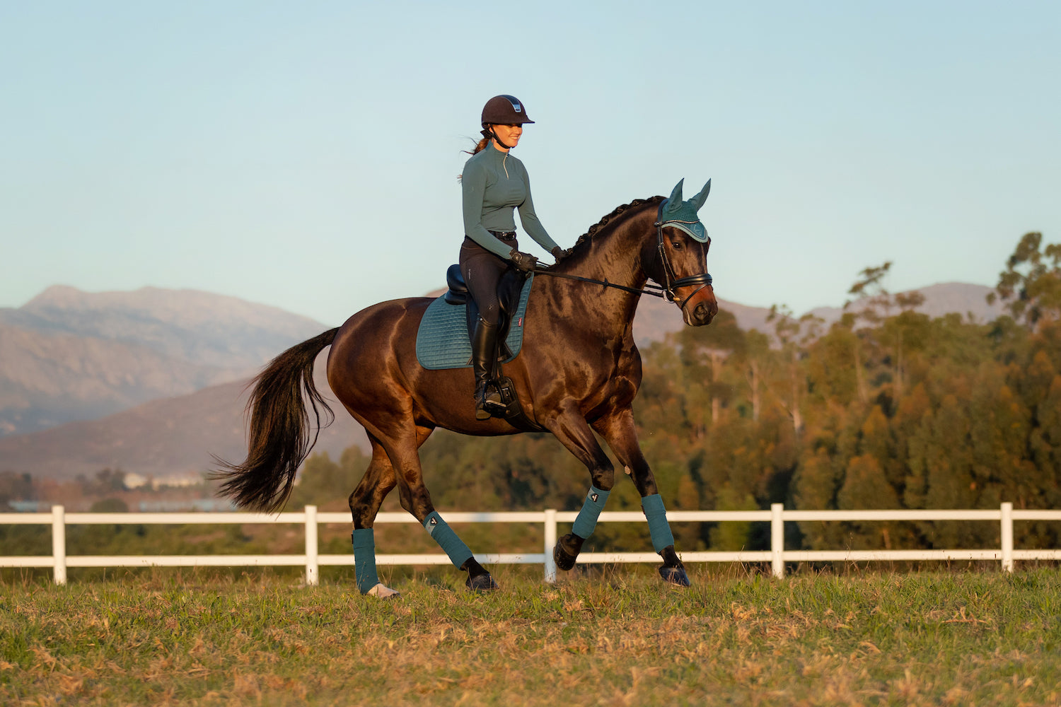 LeMieux Schabracke Luxury Suede Dressage Square marine