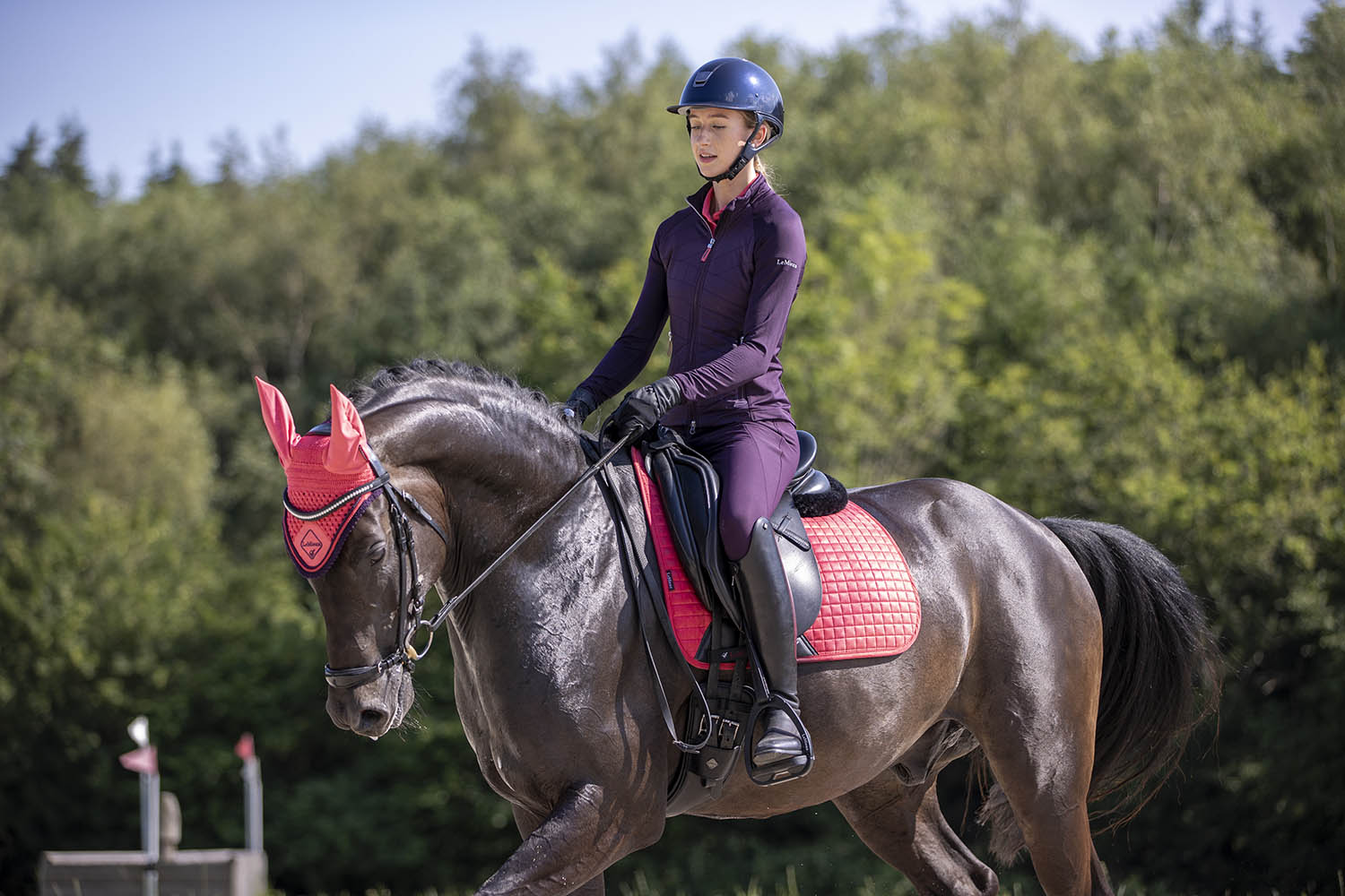 LeMieux saddle pad Luxury Suede Dressage Square papaya