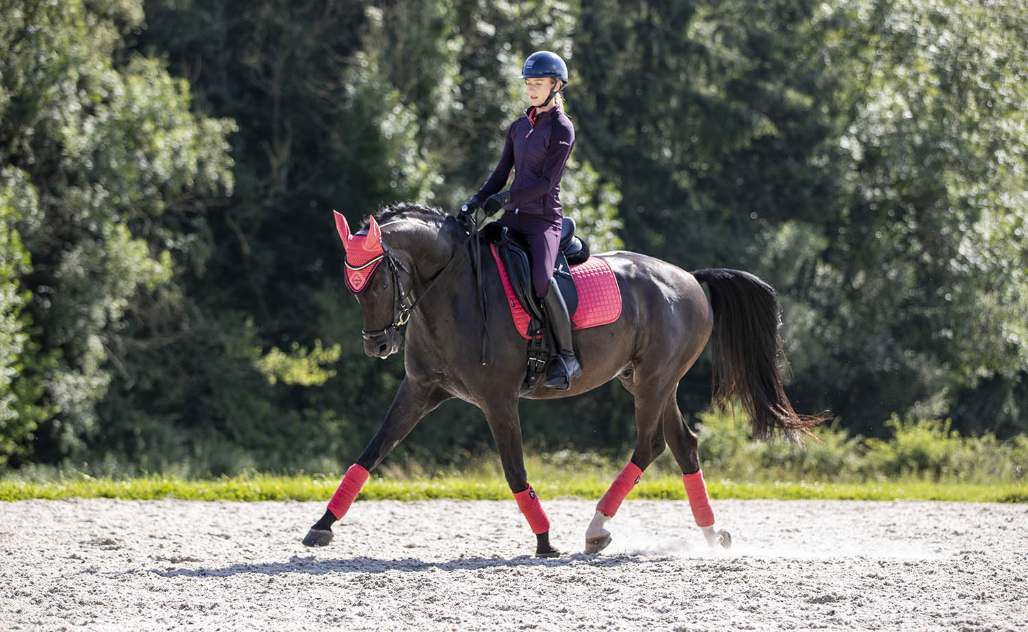 LeMieux saddle pad Luxury Suede Dressage Square papaya