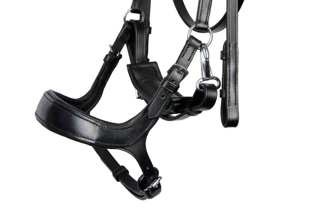 Anatomisch geschnittener Nasenriemen der Harry’s Horse Trense Release mit weicher Polsterung im Nasenbeinbereich für gleichmäßige Druckverteilung und stabilere Gebisslage.