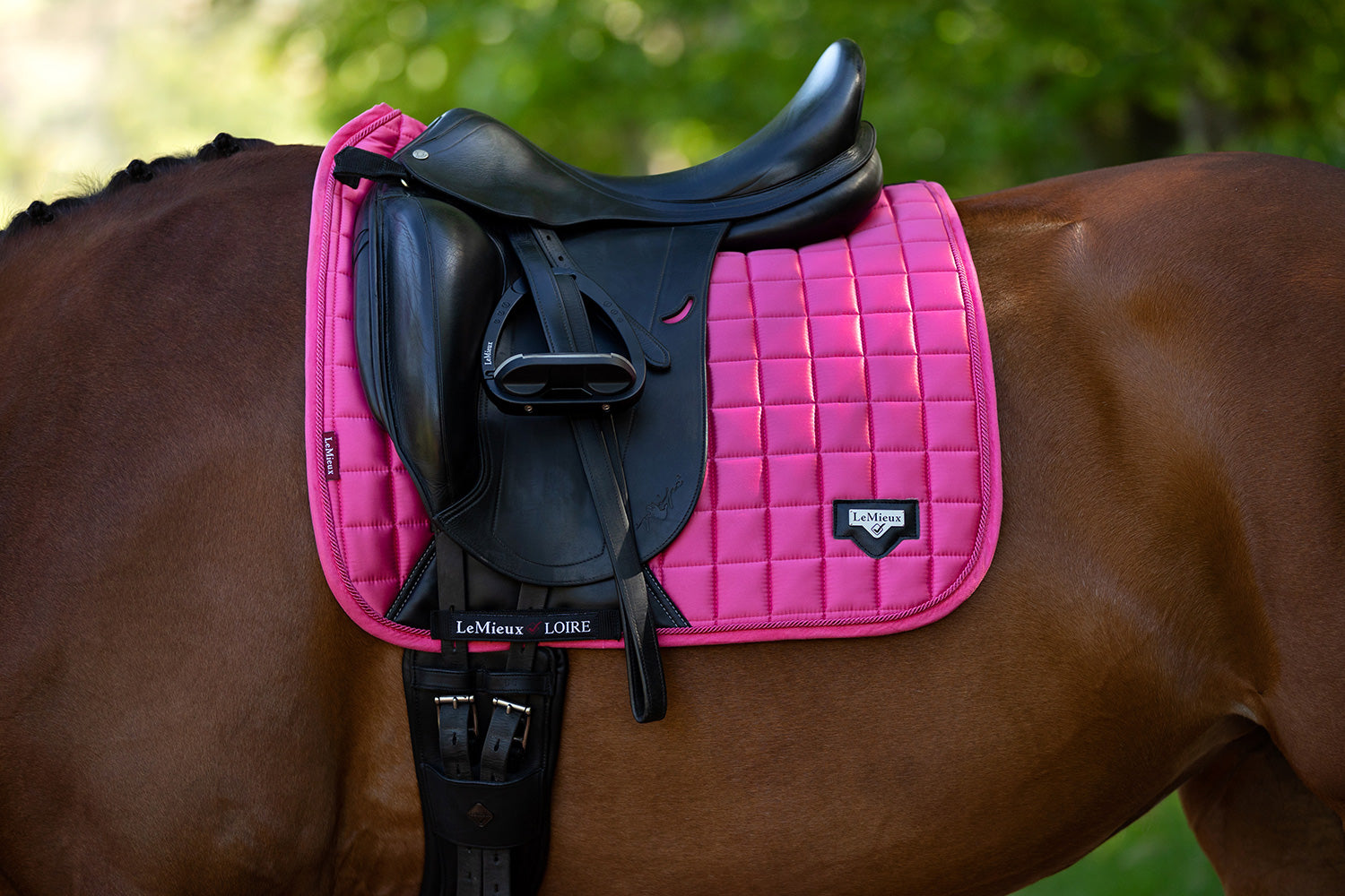 LeMieux saddle pad Loire Classic Satin Dressage Square watermelon