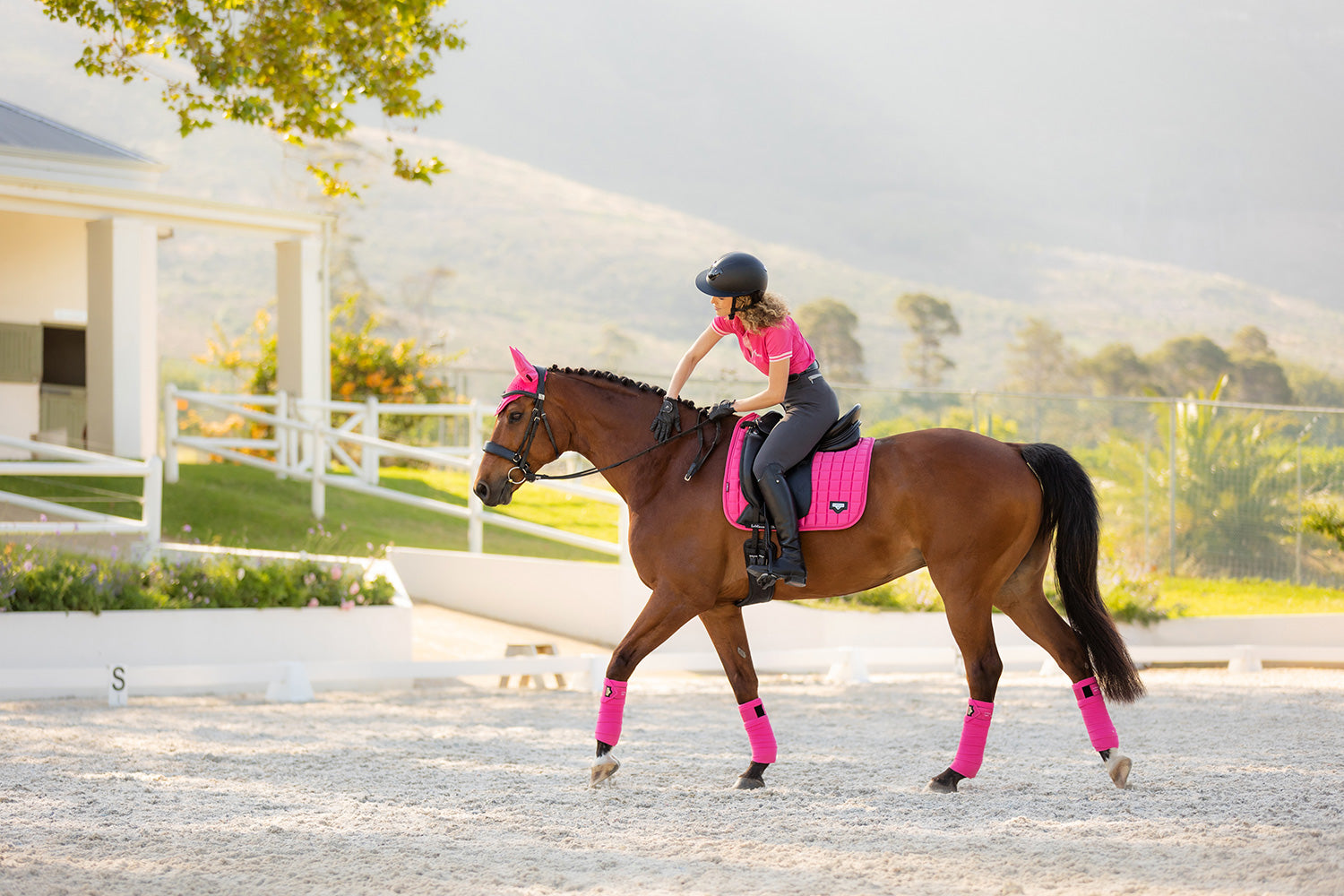 LeMieux saddle pad Loire Classic Satin Dressage Square watermelon
