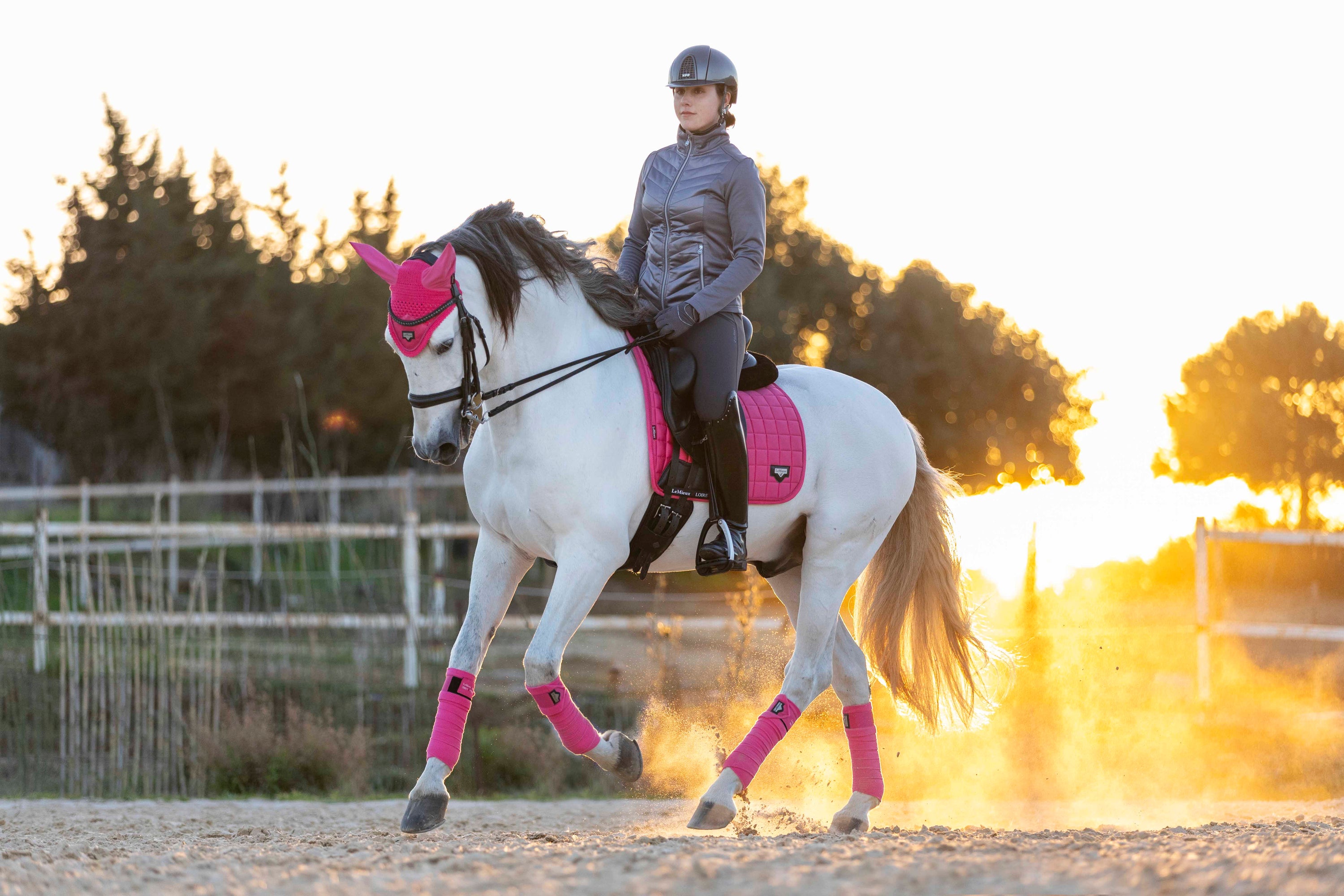 LeMieux saddle pad Loire Classic Satin Dressage Square watermelon