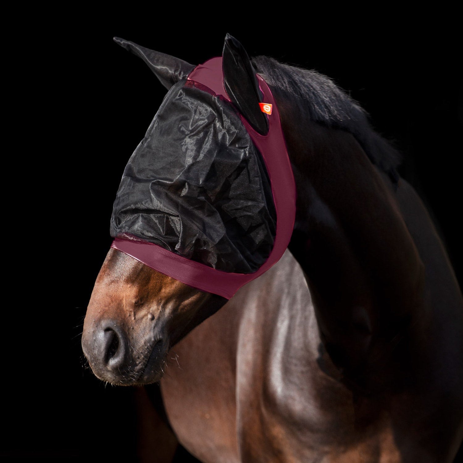 Ein Pferd trägt die Imperial Riding Fliegenmaske IRH Careful in Bordeaux, die durch ihre sehr gute Passform eng am Kopf anliegt, Insekten zuverlässig fernhält und dem Pferd ein entspanntes und zufriedenes Erscheinungsbild auf der Weide oder im Alltag ermöglicht. Das Pferd kann die Fliegenmaske nicht abstreifen oder verlieren. Material drückt nicht auf die Augen, sondern umhüllt diese mit Abstand!