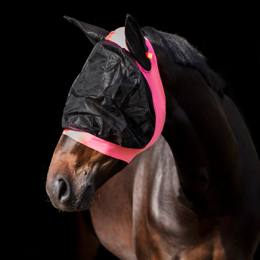 Ein Pferd trägt die Imperial Riding Fliegenmaske IRH Careful in Black, die durch ihre sehr gute Passform eng am Kopf anliegt, Insekten zuverlässig fernhält und dem Pferd ein entspanntes und zufriedenes Erscheinungsbild auf der Weide oder im Alltag ermöglicht. Das Pferd kann die Fliegenmaske nicht abstreifen oder verlieren. Material drückt nicht auf die Augen, sondern umhüllt diese mit Abstand!