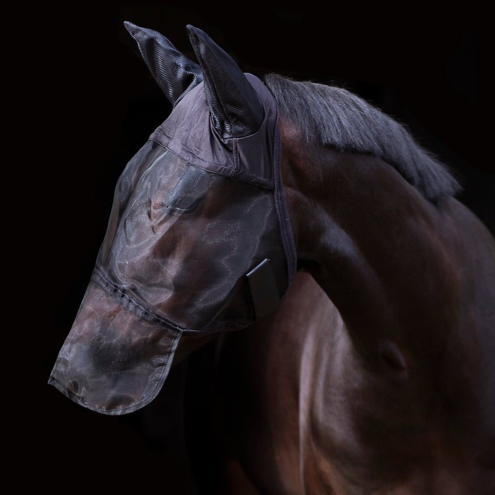 Eine am Pferdekopf perfekt sitzende Imperial Riding Fliegenmaske IRH in Schwarz, die zeigt, wie die ergonomische Form die Augenpartie großzügig freihält und gleichzeitig die Ohren sowie die empfindlichen Nüstern vollständig vor Kriebelmücken und Fliegen abschirmt. Die Maske bietet durch ihr transparentes Mesh-Gewebe maximale Sichtfreiheit und Schutz vor Kriebelmücken, Bremsen und ständiges Schütteln auf der Weide.
