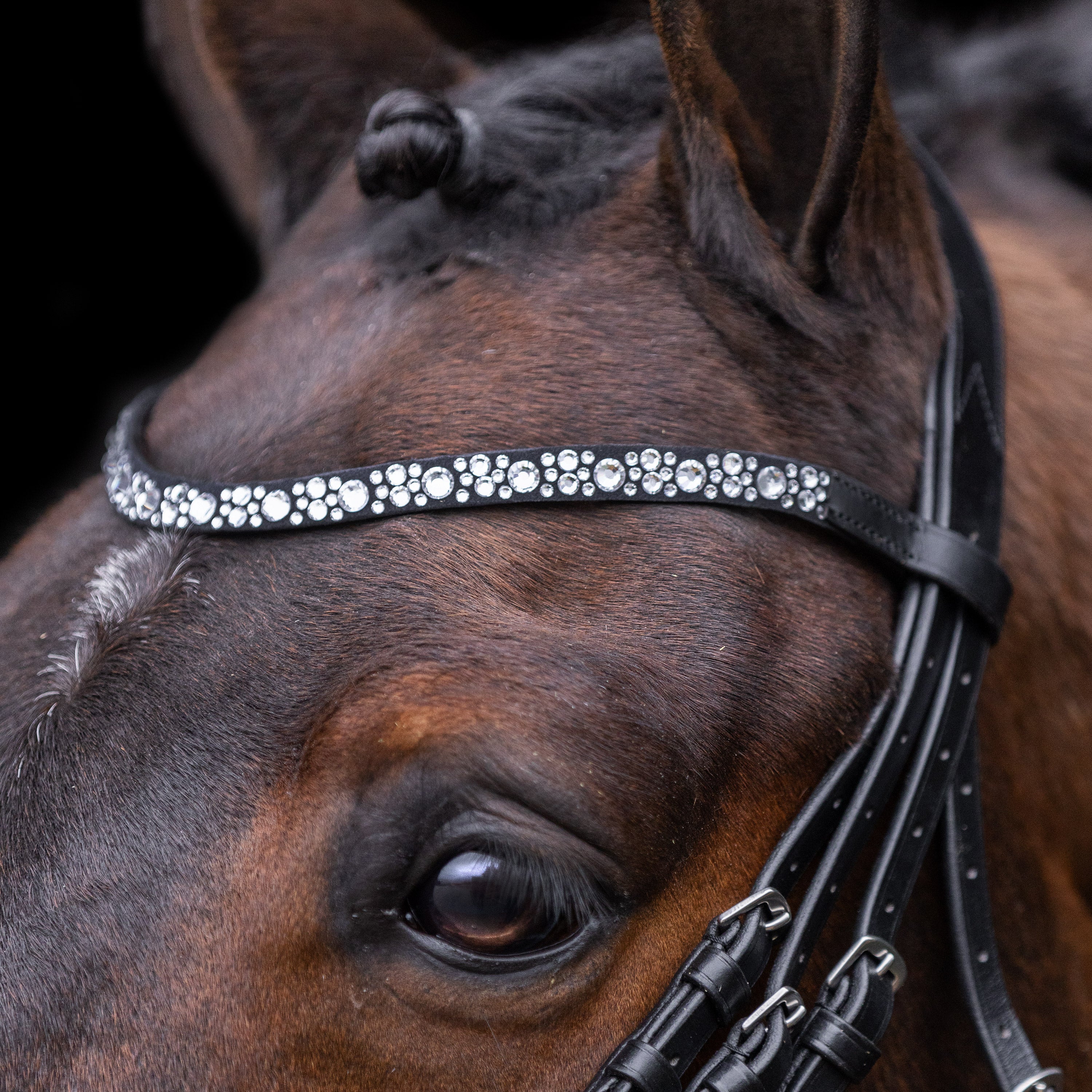 Schmales Stirnband der Imperial Riding IRHOlympia Trense mit großen und kleinen klaren Strasssteinen – eleganter Glitzer für Dressur. Der Stirnriemen ist leicht geschwungen und zeitlos schön. Er lässt sich zu jedem Reitoutfit kombinieren. Ein Blickfang auf dem turnier oder als Trainingstrense.