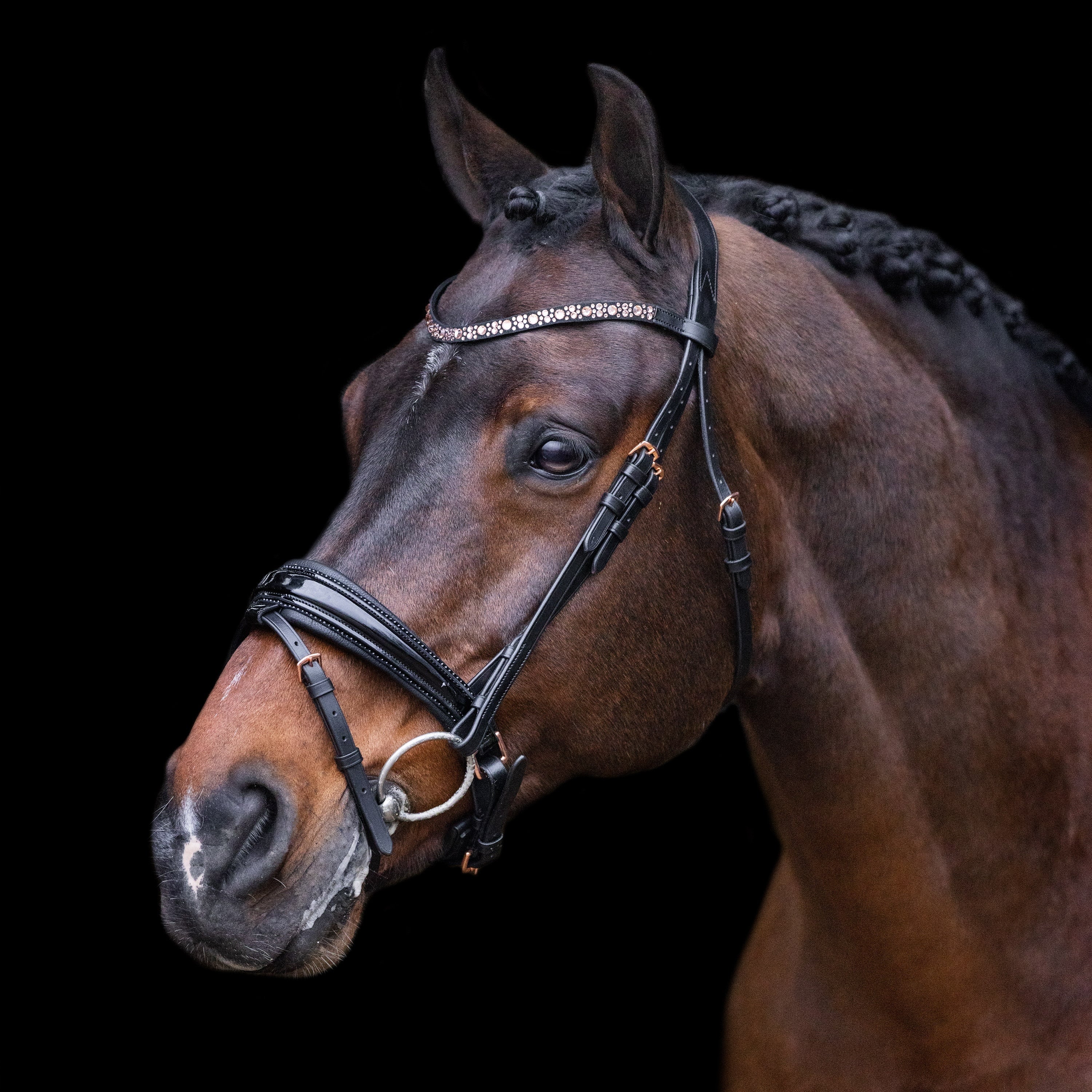 Imperial Riding IRHOlympia Trense schwarz Lack mit roségoldenen Beschlägen und Strass ist eine elegante anatomische Dressurtrense. Die glitzernde Zierkeder ist mit schwarzen Strasssteinen besetzt. Der schwarze Lacknasenriemen mit Zierkeder ist ein echter Blickfang. Die Trense ist ideal als Trainingstrense für Freizeitreiter*innen und Turniertrense für Turnierreiter*innen geeignet.