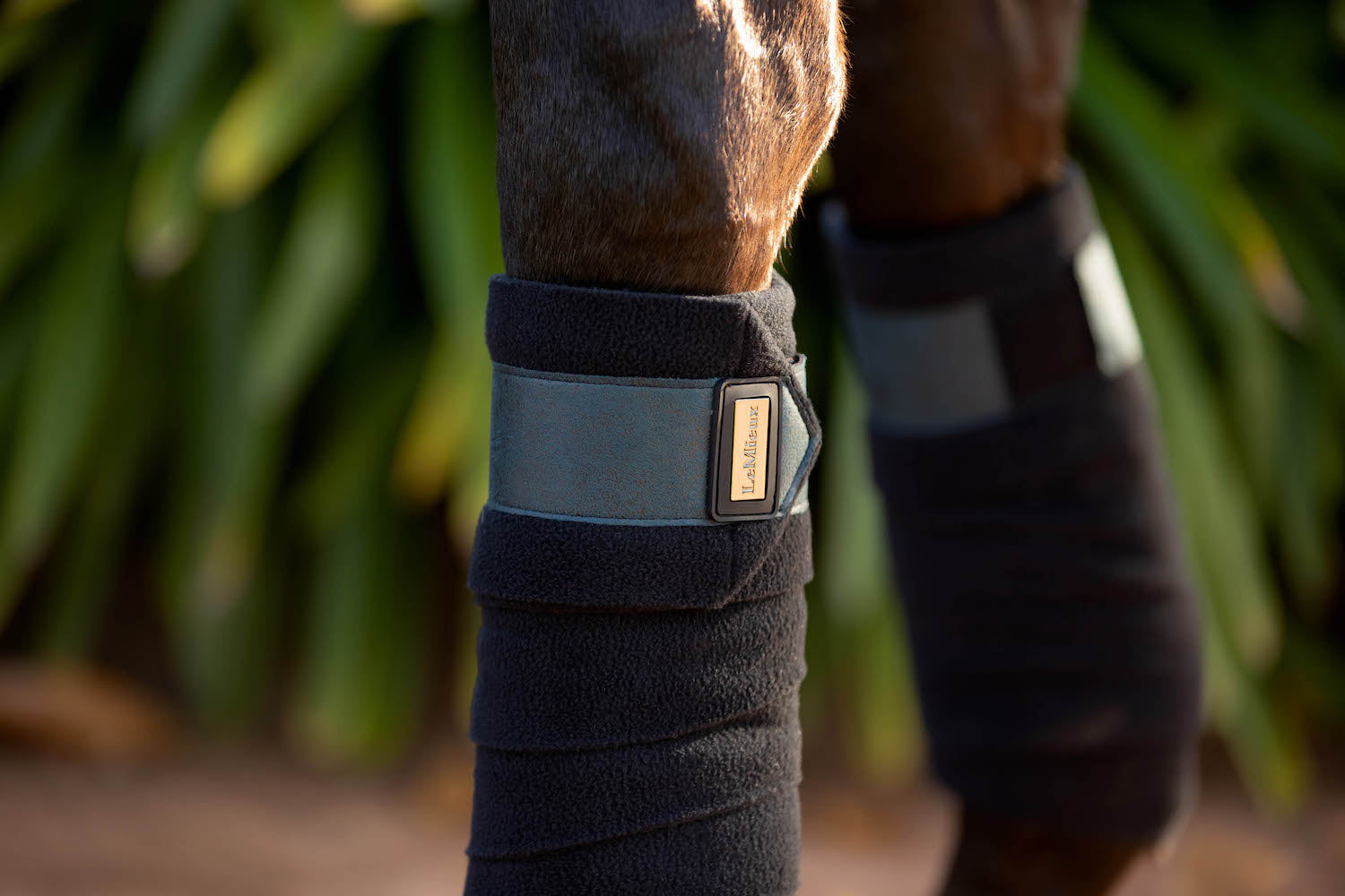 LeMieux Bandages Rohne Polo petrol