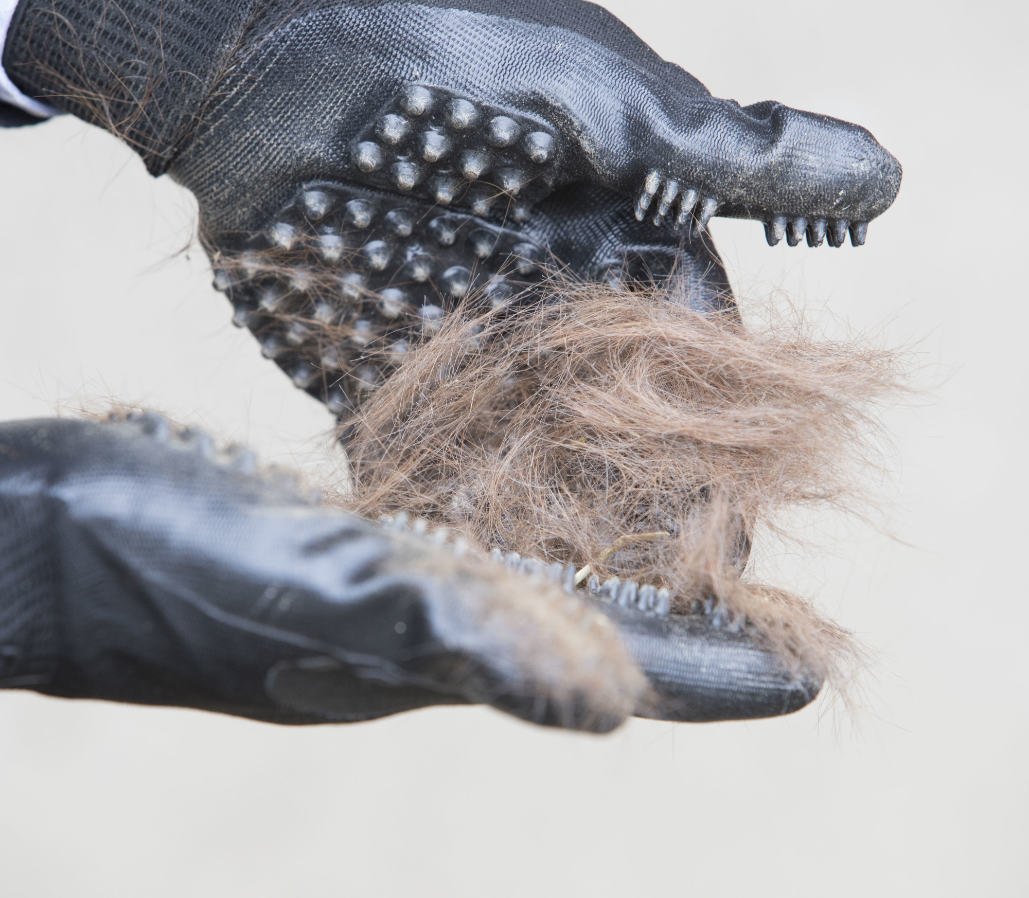 HandsOn Grooming Gloves Putzhandschuh schwarz - ePony Reitsport