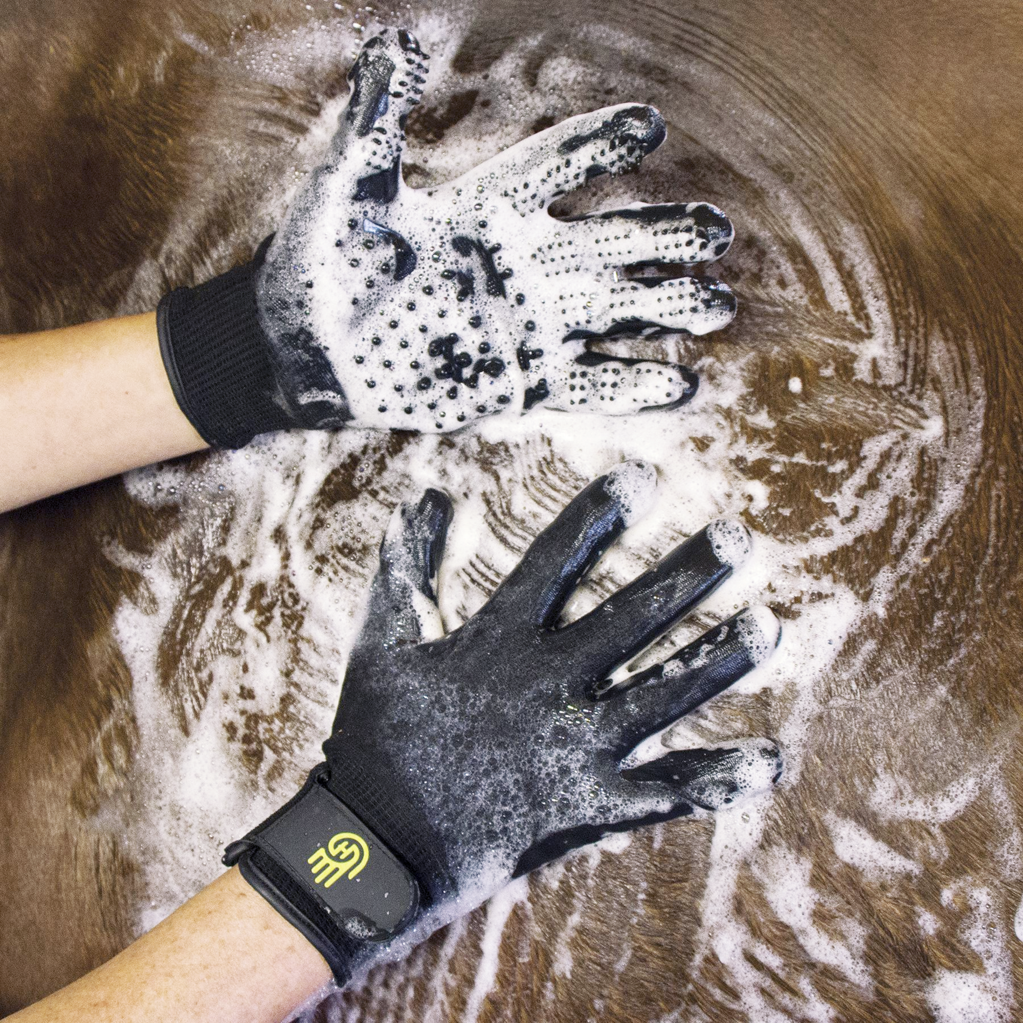 HandsOn Grooming Gloves Putzhandschuh schwarz - ePony Reitsport