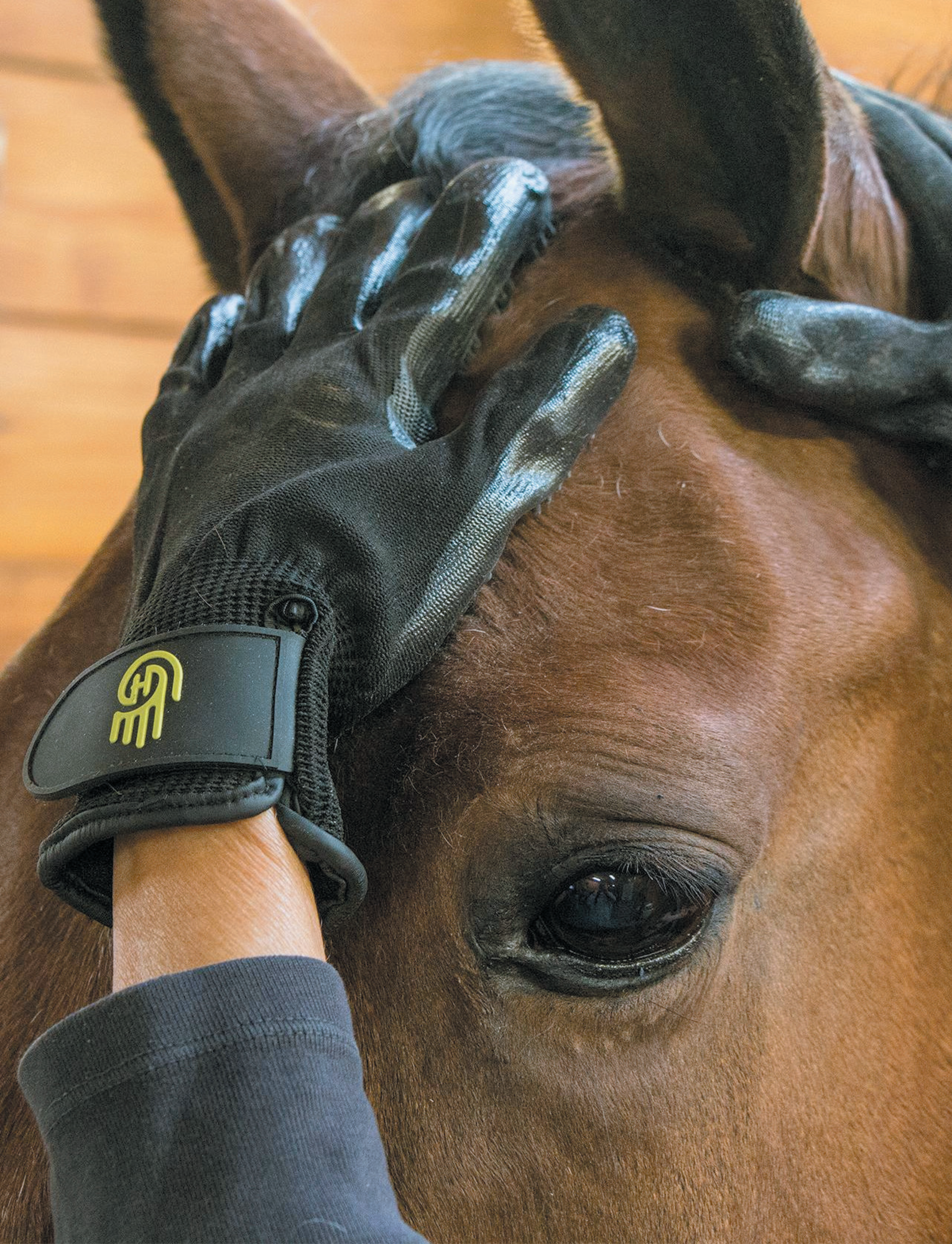 HandsOn Grooming Gloves Putzhandschuh schwarz - ePony Reitsport