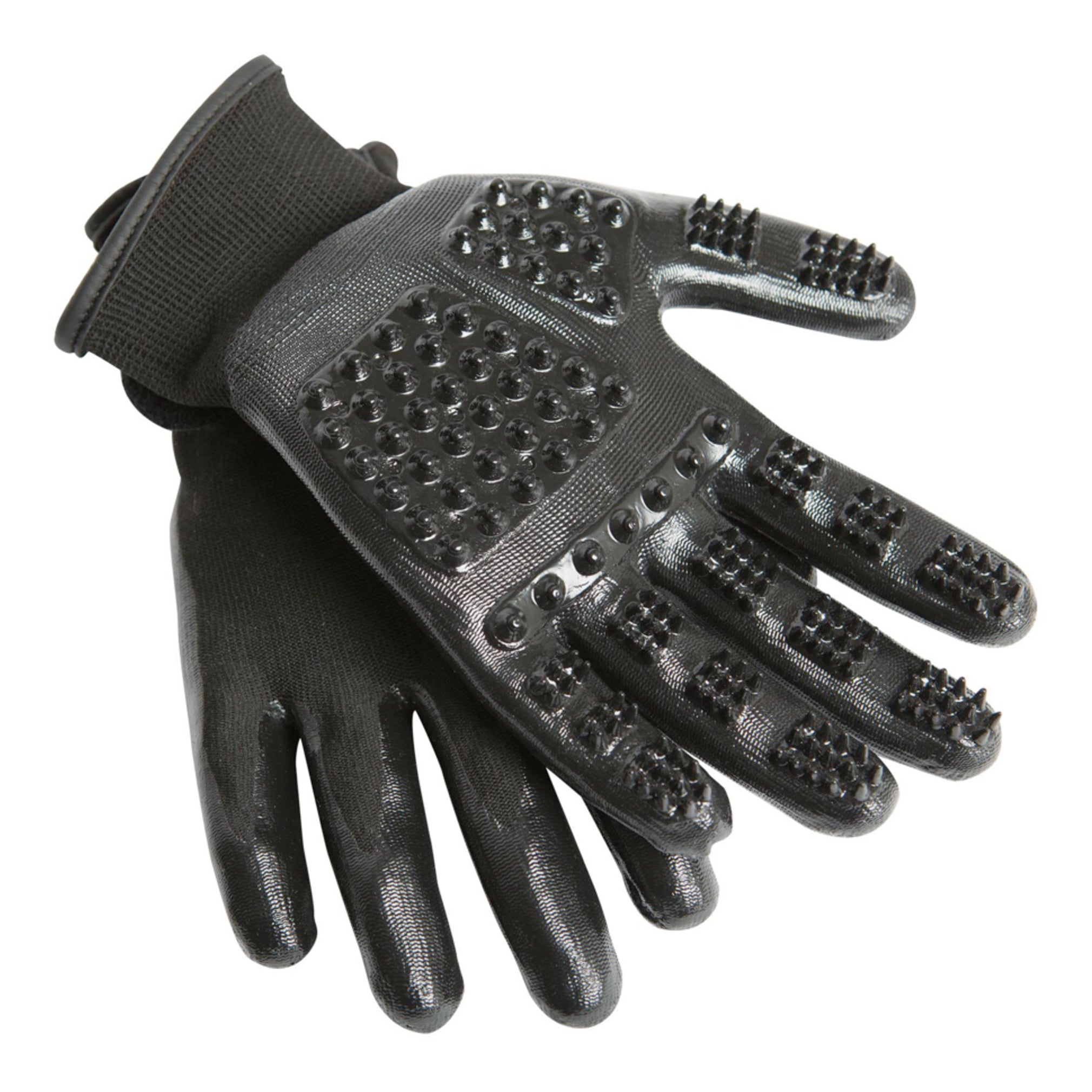 HandsOn Grooming Gloves Putzhandschuh schwarz - ePony Reitsport