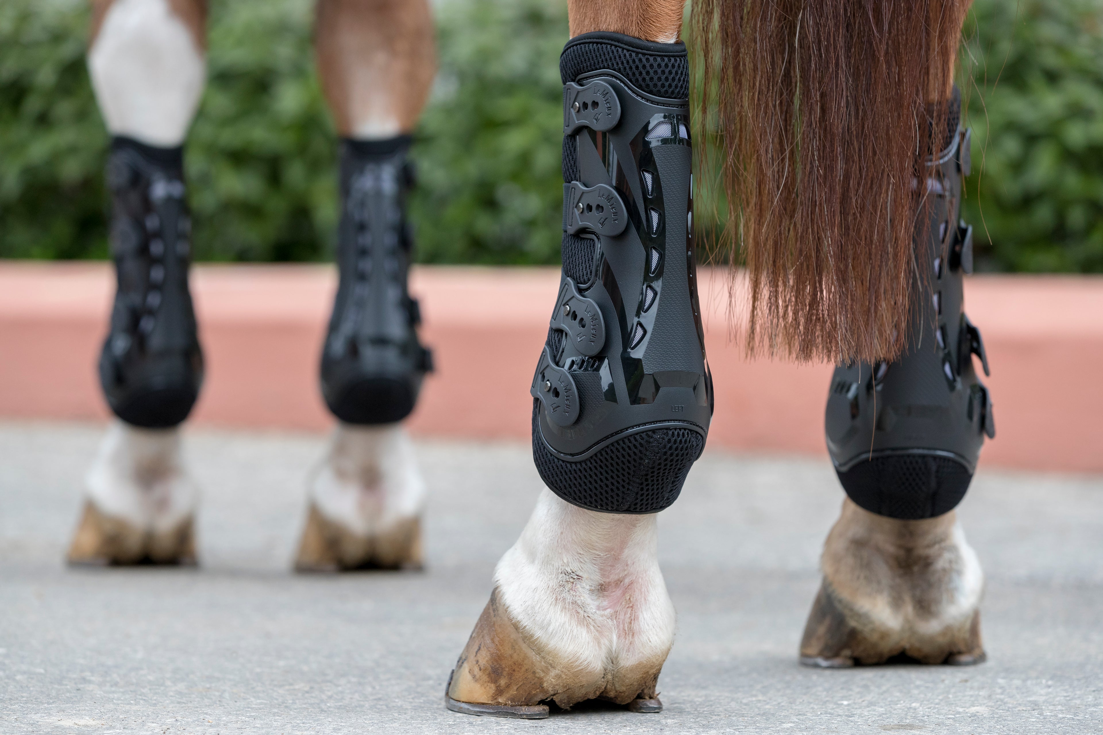 LeMieux Gamaschen Hinterbeine Ultra Mesh Snug Boots Hind black