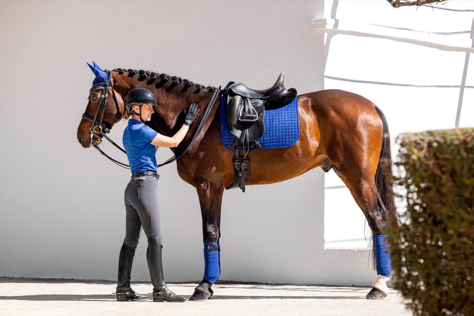 LeMieux saddle pad Luxury Suede Dressage Square benetton blue