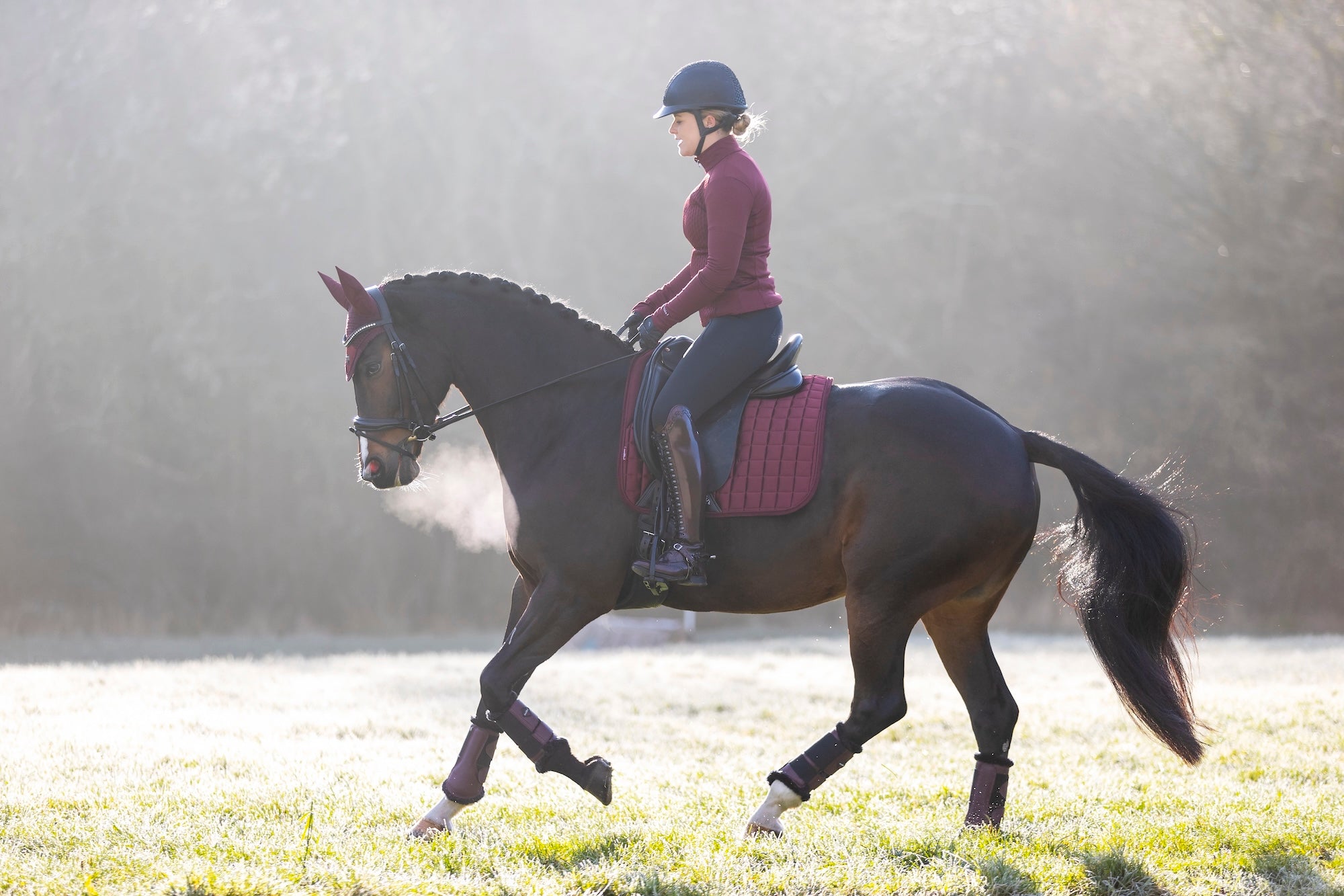 LeMieux saddle pad Loire Classic Satin Dressage Square rioja