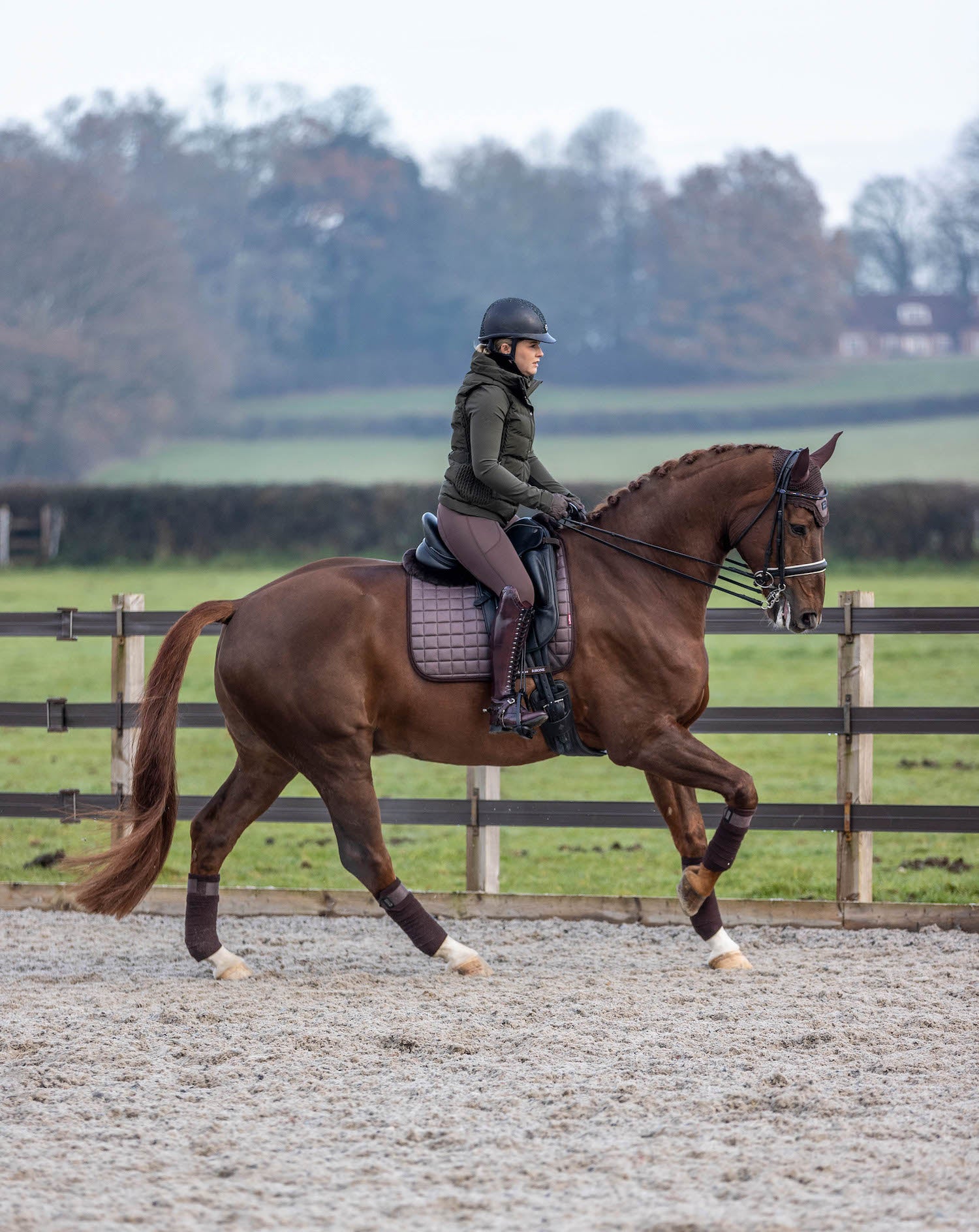 LeMieux saddle pad Rhone Dressage Square espresso