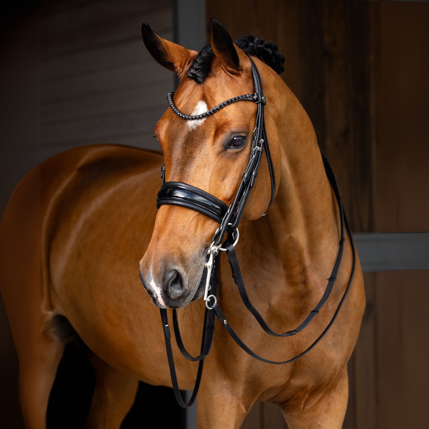 LeMieux Kudos curb bit black patent leather browband with black crystal stones