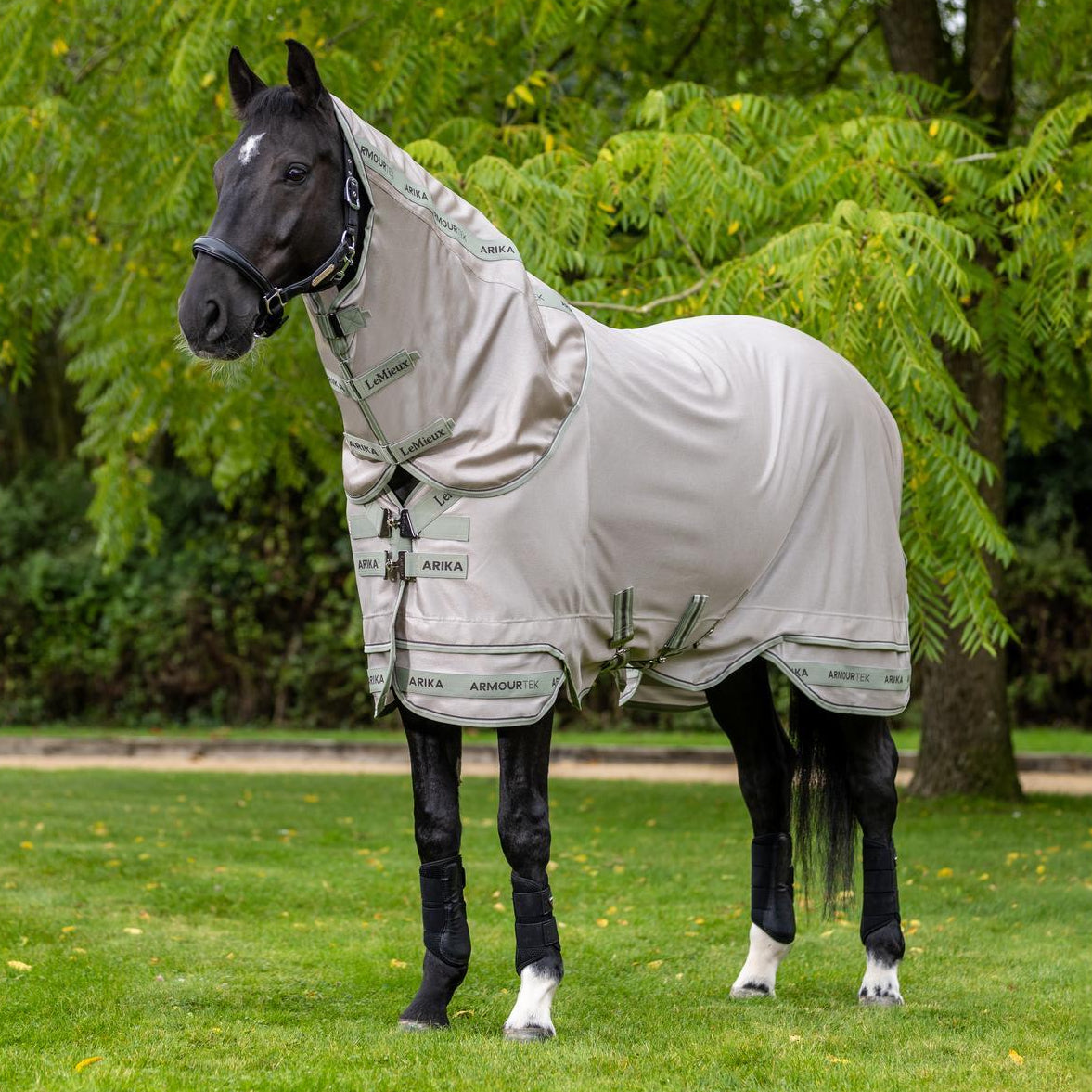Ein edler Rappe trägt die LeMieux Arika Armour-Tek Fliegendecke in Stone, deren patentiertes zweiteiliges Saum-Design und tieferer Schnitt für eine druckfreie Passform und maximale Abdeckung des Pferdekörpers sorgen. Das Material der Fliegendecke wirkt leicht und dünn. Perfekt für warme Sommer.