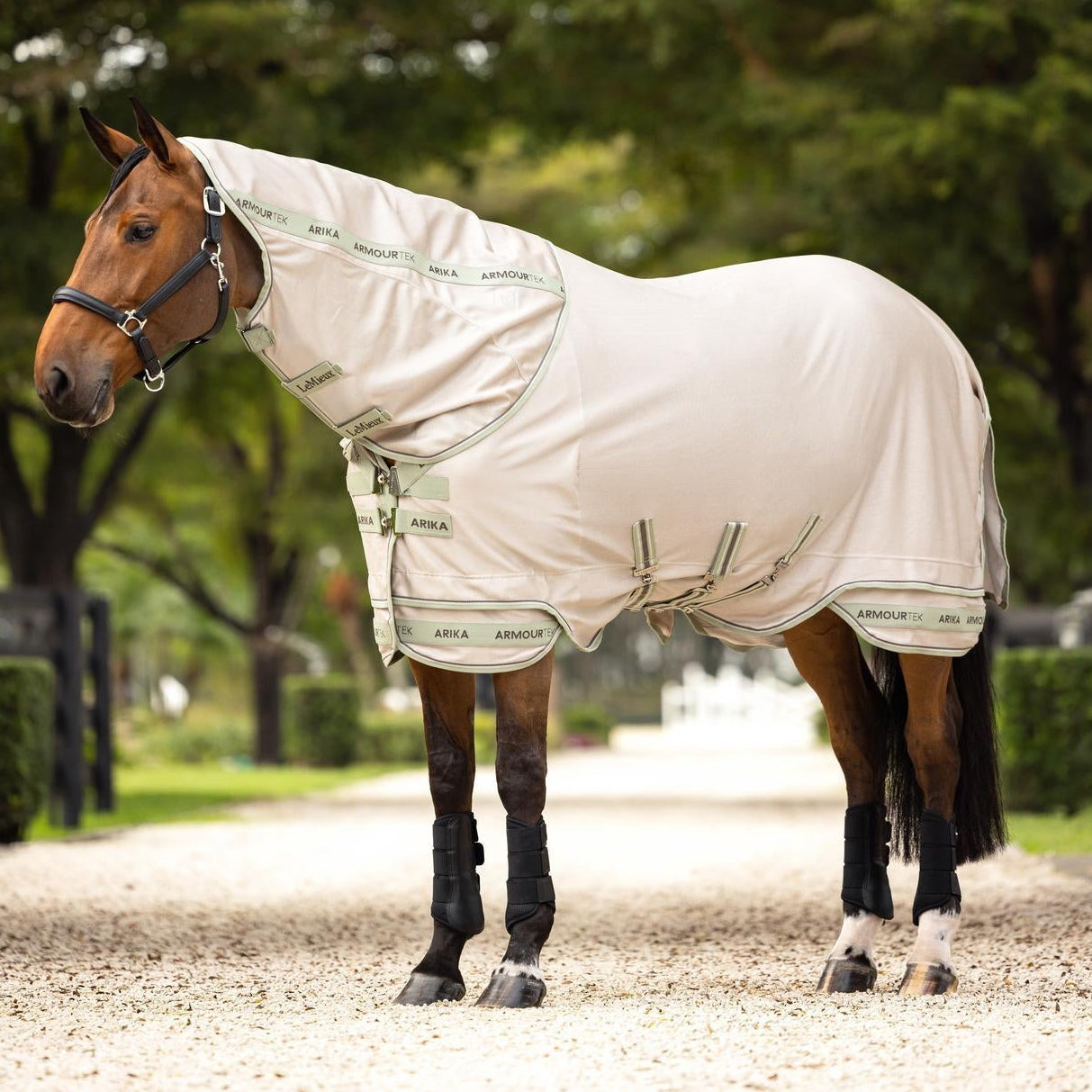 Ein braunes Pferd auf der Weide mit der LeMieux Arika Armour-Tek Fliegendecke in der Farbe Stone inklusive abnehmbarem Halsteil, die durch 85 % UV-Schutz und atmungsaktives Mikromesh optimalen Komfort im Sommer bietet.