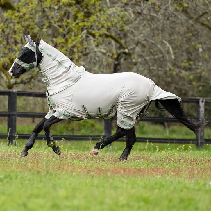 Das Pferd im vollen Galopp auf der Wiese zeigt das harmonische Zusammenspiel von LeMieux Arika Armour-Tek Fliegendecke und passender Fliegenmaske für einen lückenlosen Insektenschutz bei maximaler Aktivität.