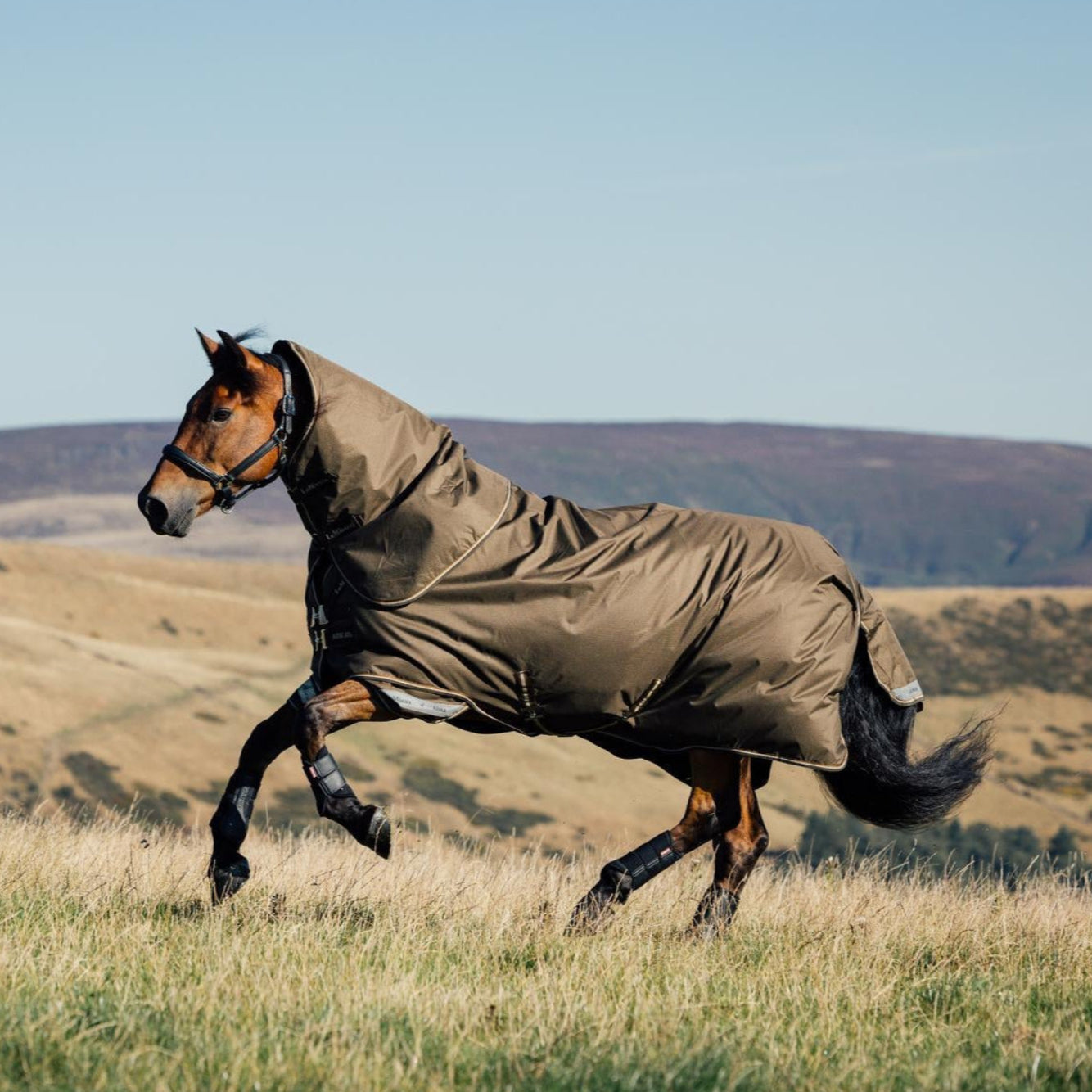 Ein braunes Pferd galoppiert über eine stoppelige Herbstwiese und trägt die LeMieux Arika Ripstop Turnout Decke in alpine einem bräunlichen Olivton. Das Pferd trägt außerdem einen gleichfarbigen Halsteil. Der Halsteil sowie die Weidedecke wirken locker. Seitlich neben dem Vorderbein, sowie rückseitig am Schweiflatz erkennt man helle Reflexionsstreifen.