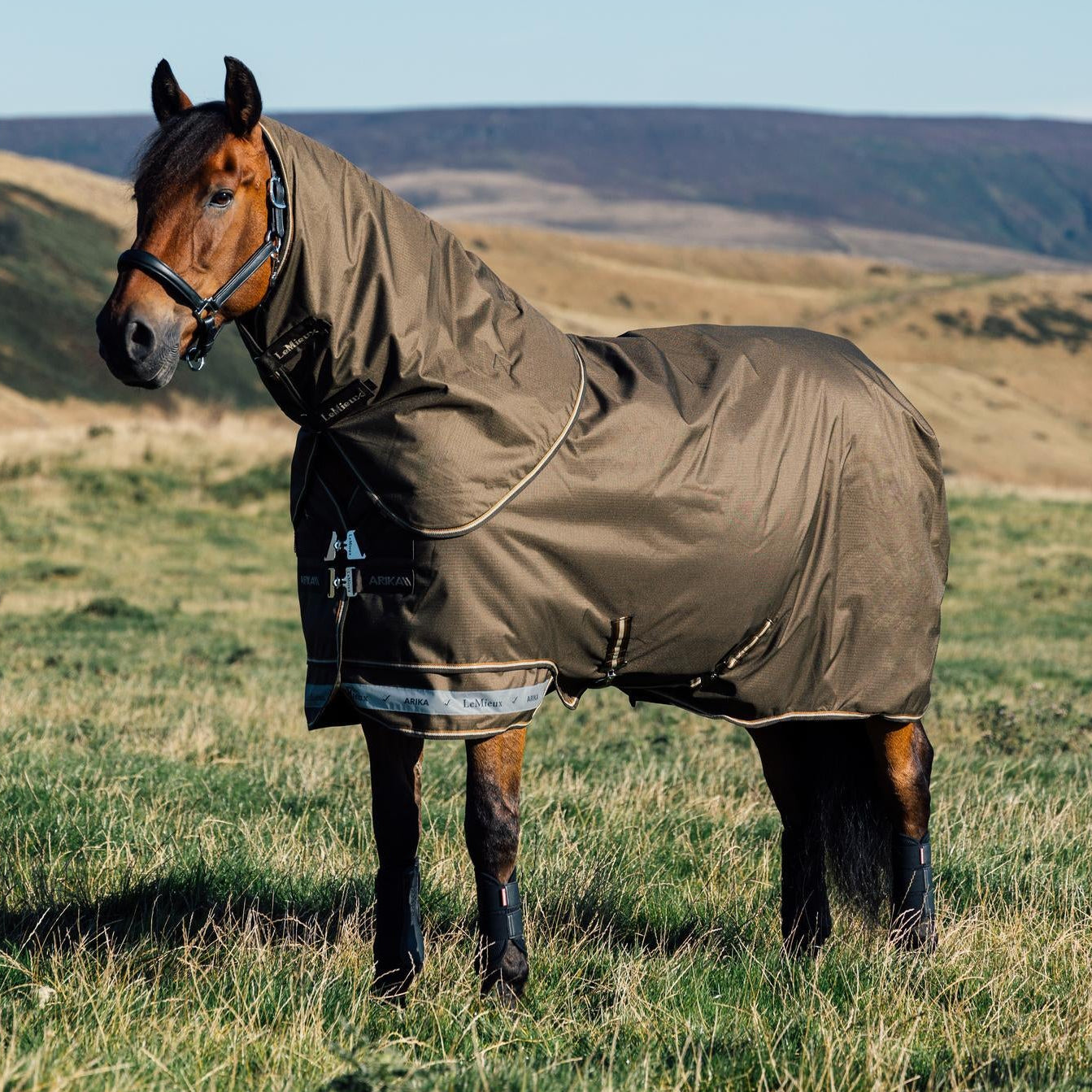 LeMieux Arika Ripstop Turnout Rug 0 g Alpine auf der Weide – Outdoordecke für Pferde bei Regen, Schnee oder Wind, atmungsaktiv und komfortabel.