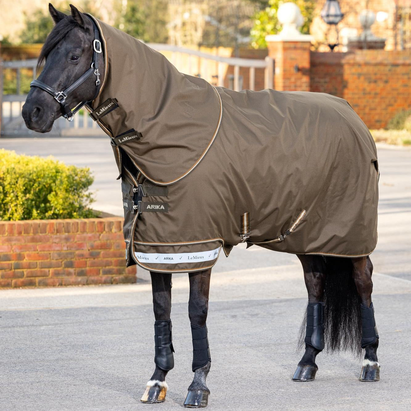 Seitenansicht der LeMieux Arika Ripstop Turnout Rug 0 g Alpine – patentierter Brustverschluss, Bewegungsfreiheit und Paddock-/Weidedecke für Pferde.