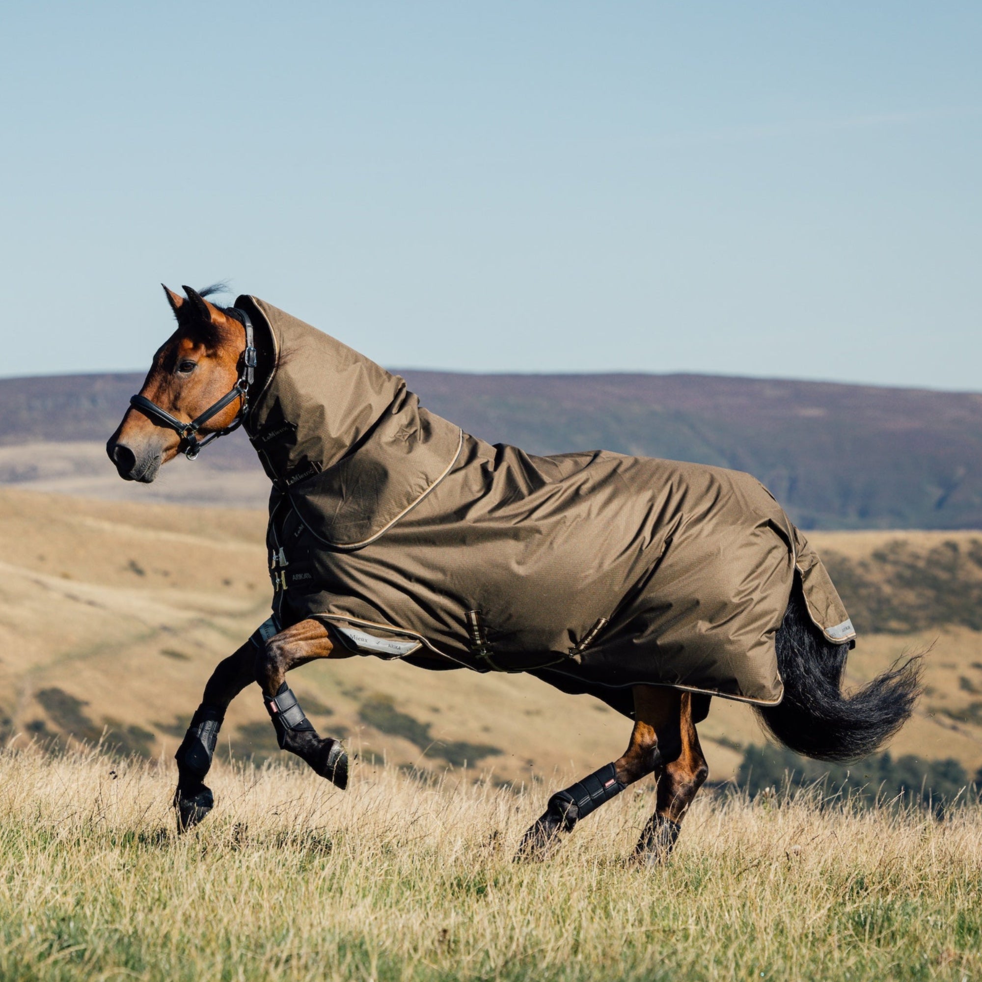 Galoppierendes Pferd auf der Weide mit LeMieux Arika Ripstop Outdoordecke 50g Alpine und Halsteil – maximale Bewegungsfreiheit bei natürlicher Bewegung.