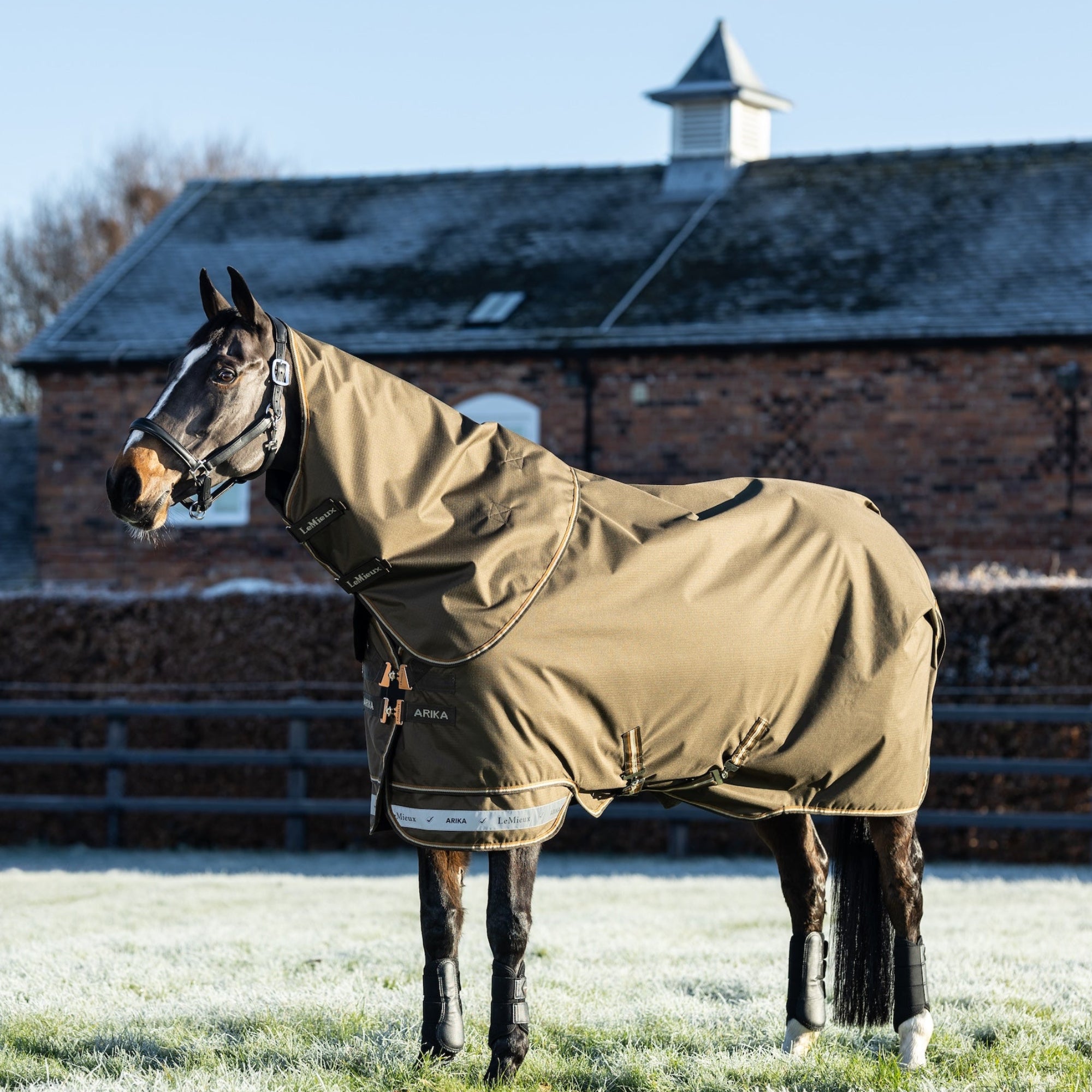 Pferd steht im Winter auf gefrorener Wiese in der Sonne und trägt die LeMieux Arika Ripstop Turnout Rug 100g mit Halsteil in der Farbe alpine – die Weidedecke hält warm und schützt vor Kälte, Wind und Regen.