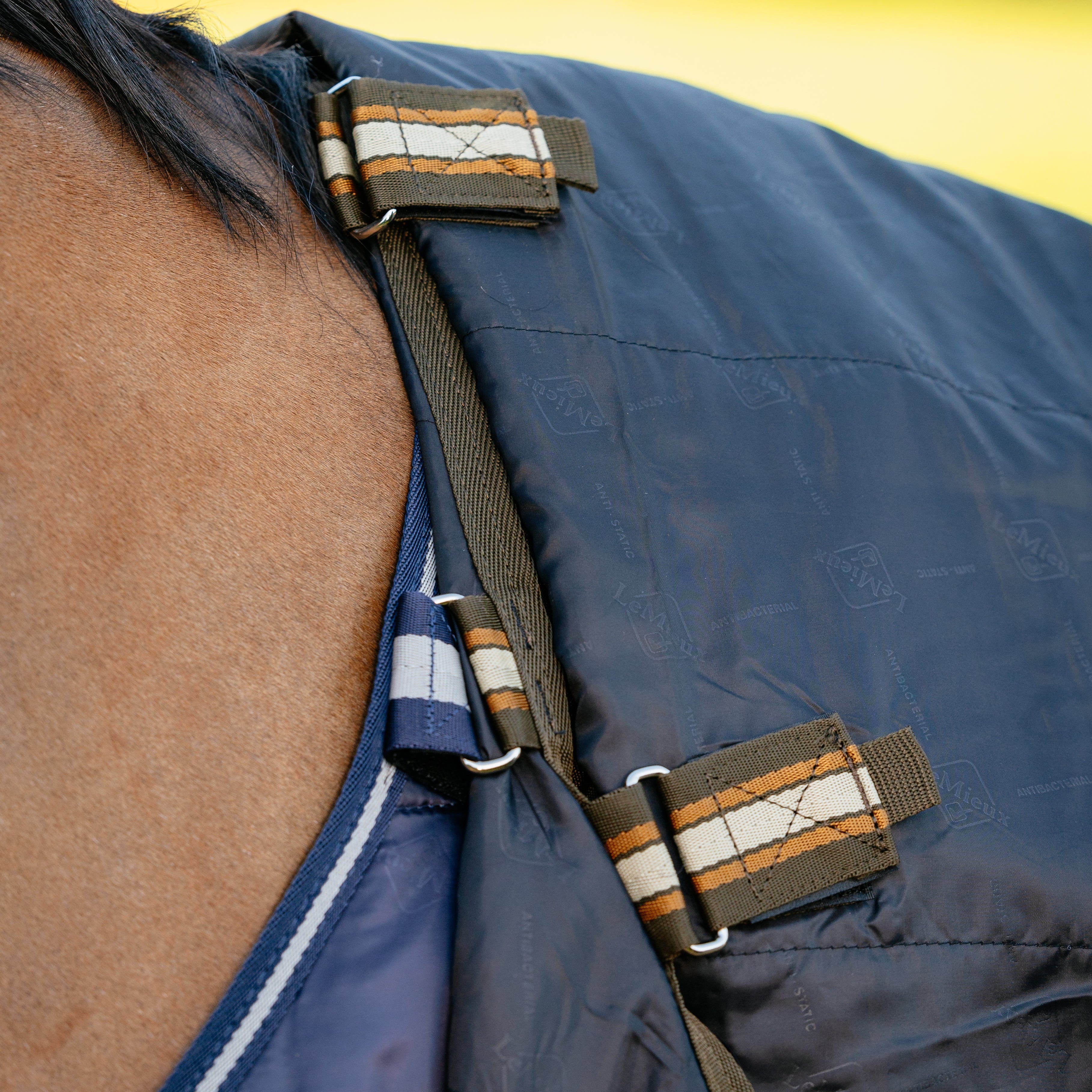 Über die Arika Liner Befestigungen am Hals und Rücken können zusätzliche Unterdecken flexibel integriert und so die Wärmeleistung an unterschiedliche Temperaturen anpasst werden.
Das Arika-Liner-System kann mit unterschiedlichen Decken von Lemieux kombiniert werden für ein gutes Decken-Management bei wechselnden Temperaturen und Bedürfnissen des Pferdes.