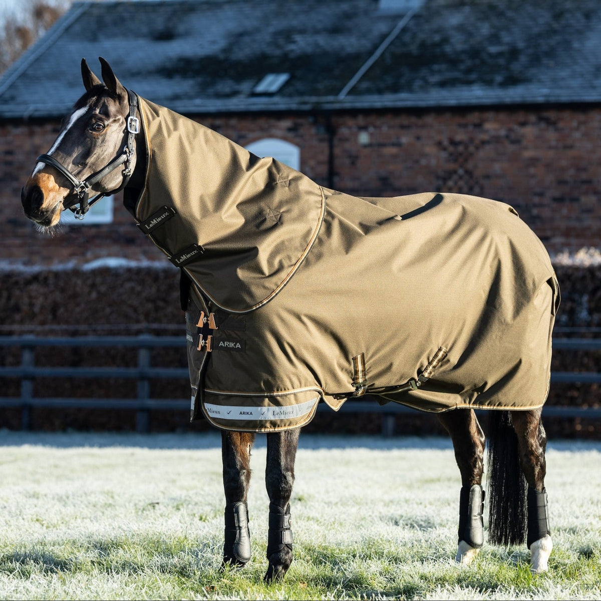 Pferd steht im Winter auf gefrorener Wiese in der Sonne und trägt die LeMieux Arika Ripstop Turnout Rug 200g mit Halsteil in der Farbe alpine – die Weidedecke hält warm und schützt vor Kälte, Wind und Regen.