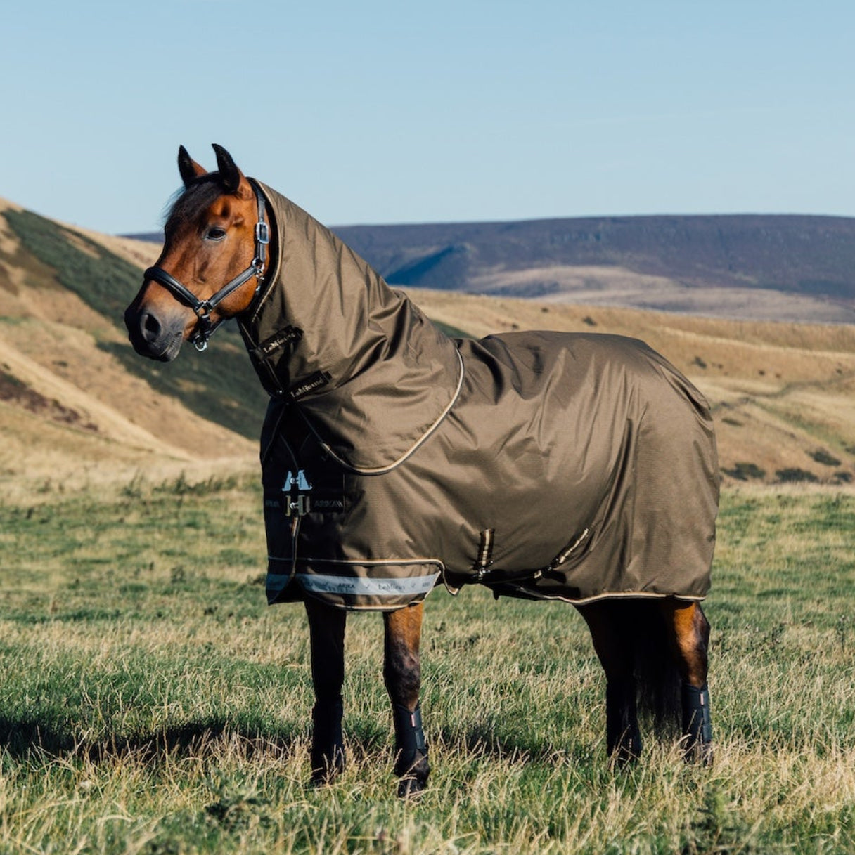 LeMieux Arika Ripstop Turnout Rug 200 g Alpine auf der Weide – Outdoordecke für Pferde bei Regen, Schnee oder Wind, atmungsaktiv und komfortabel.