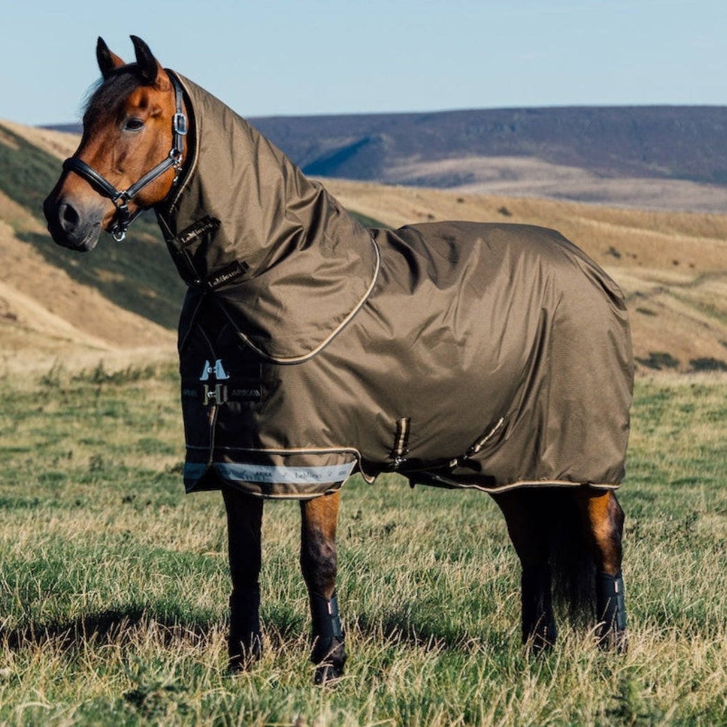 LeMieux Arika Ripstop Turnout Rug 200 g Alpine auf der Weide – Outdoordecke für Pferde bei Regen, Schnee oder Wind, atmungsaktiv und komfortabel.