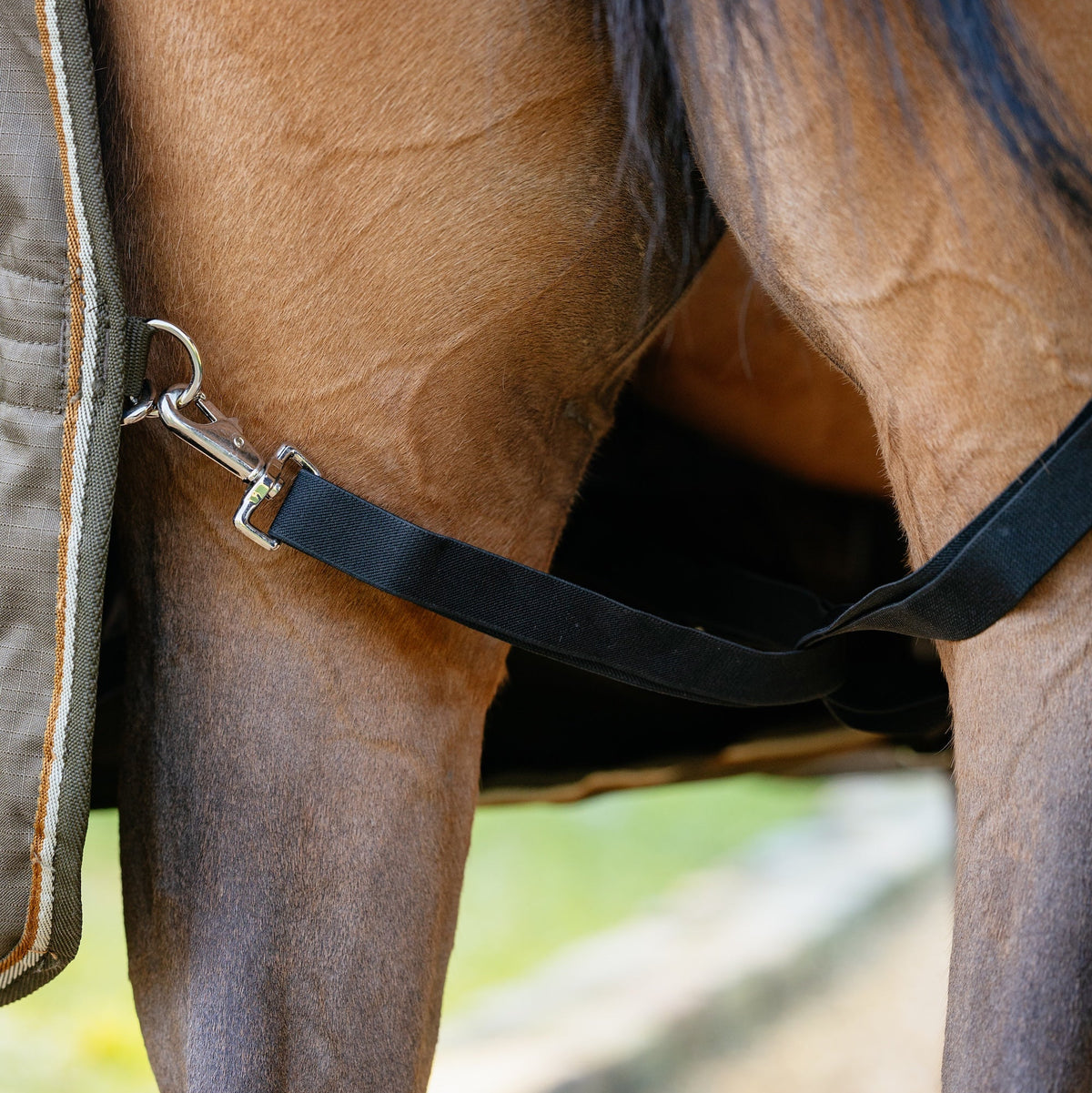 LeMieux Outdoordecke Arika Ripstop Turnout Rug mit Halsteil 200g alpine