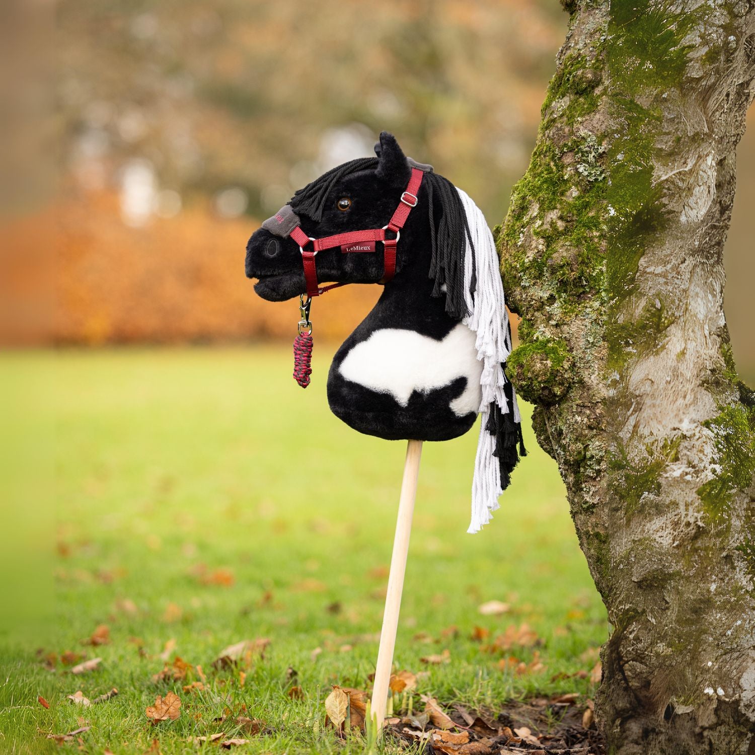 LeMieux Hobby Horse Razzle lehnt mit dem Holzstab am Boden stehend an einem Baum. Razzle trägt ein Hobby Horse Halfter in der Farbe Cranberry, einem schönen Rotton. Die schöne schwarz weiße Scheckung ist in Profilansicht besonders gut zu erkennen. Das Fell besteht aus weichem Plüsch.