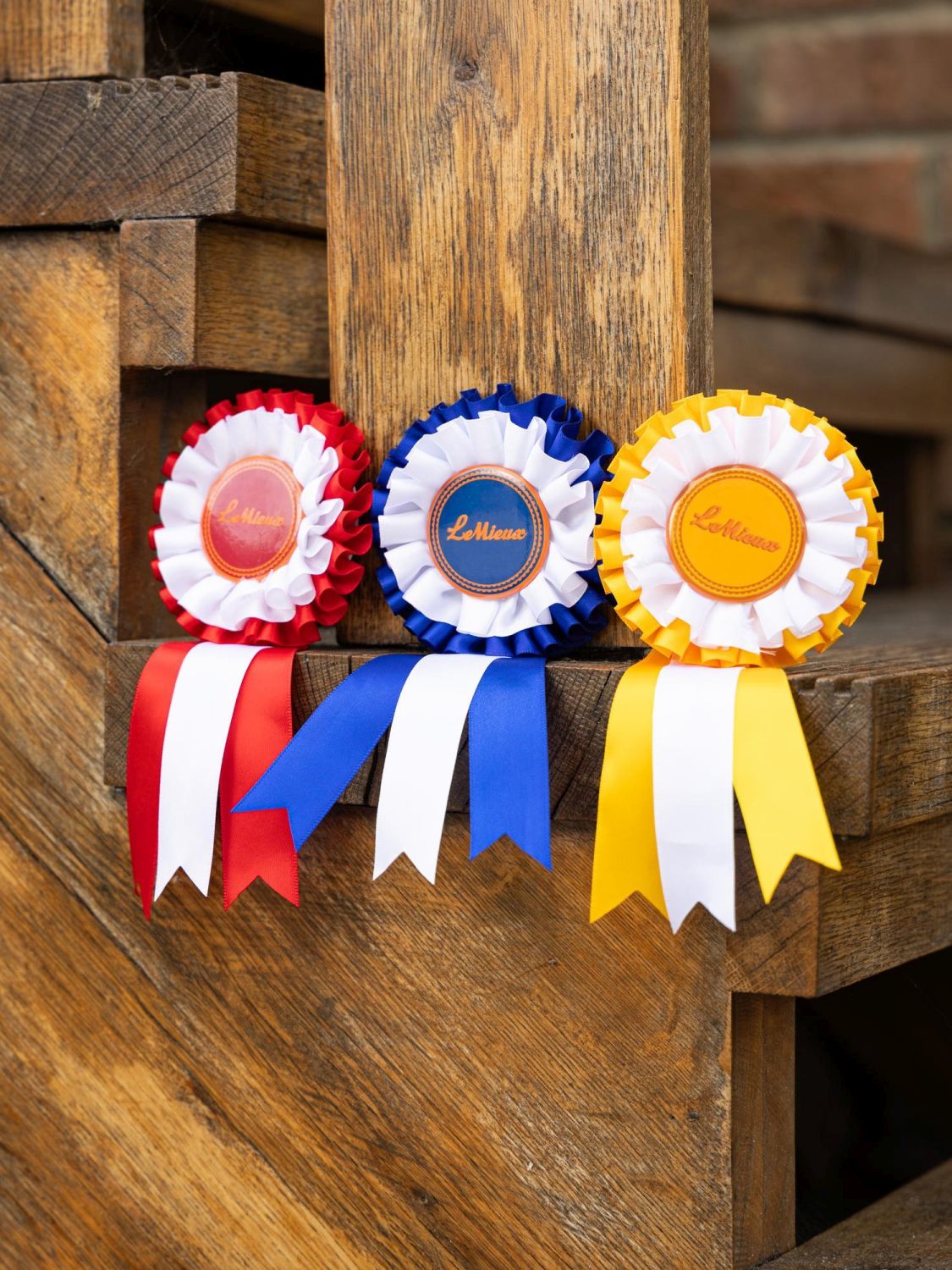 LeMieux Hobby Horse Turnierschleifen Set Multi in Gelb, Rot & Blau auf Holztreppe – Turnierspaß zuhause oder im Stall