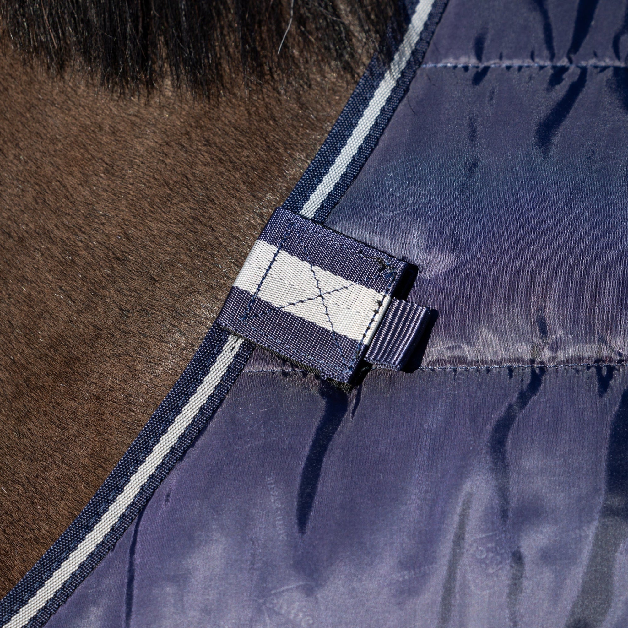 Detailbild des Haltepunktes der zweiten Linerdecke am Hals der LeMieux Unterdecke 100 g Navy Klettverschlüsse befestigt an D-Ringen der Innenseite der zweiten Linerdecke getragen am Pferd sorgt für sicheren Sitz der Linerdecke verhindert Verrutschen und gewährleistet komfortables Layering im LeMieux Pferdedecken Liner-System ideal für flexiblen Einsatz bei verschiedenen Wetterbedingungen