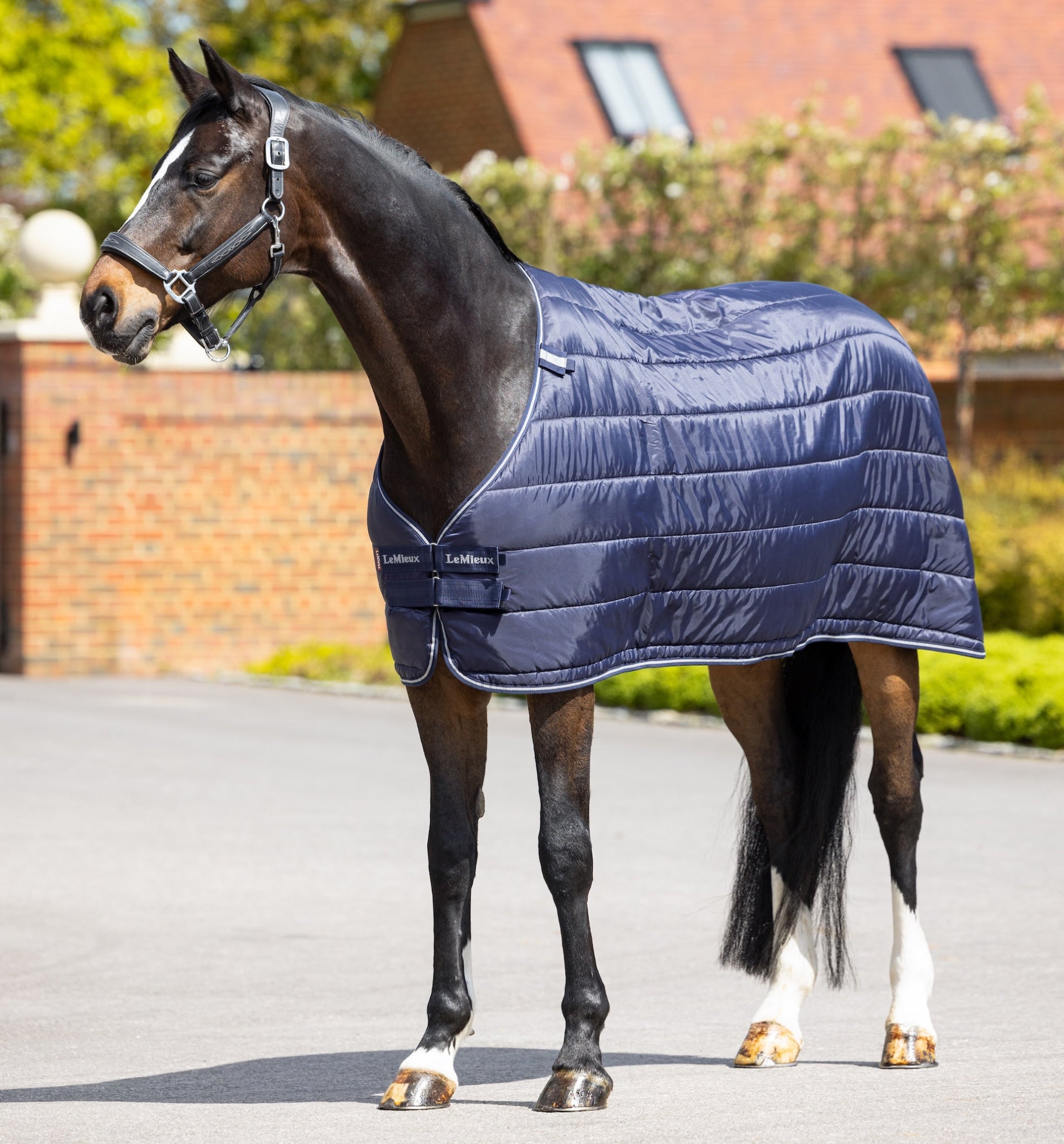 Ein dunkles Pferd trägt die LeMieux Unterdecke 100 g Navy in neutraler Umgebung. Die Decke bietet komfortable Passform, Wärme und Schutz. Leicht wattiert, mit sichtbarem Brustverschluss und Kassettensteppung, eignet sie sich für den Einsatz als Einzeldecke oder im LeMieux Liner-System für flexibles Layering.