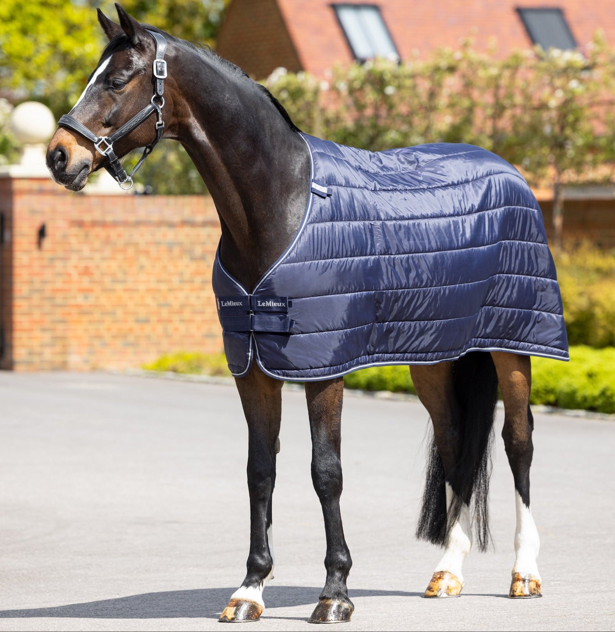 Ein Pferd trägt die LeMieux Unterdecke 200 g Navy in neutraler Umgebung. Die Decke bietet komfortable Passform, extra Wärme und Schutz. Sie ist warm wattiert, mit sichtbarem Brustverschluss und Kassettensteppung und eignet sich für den Einsatz als Einzeldecke oder im LeMieux Liner-System für flexibles Layering.