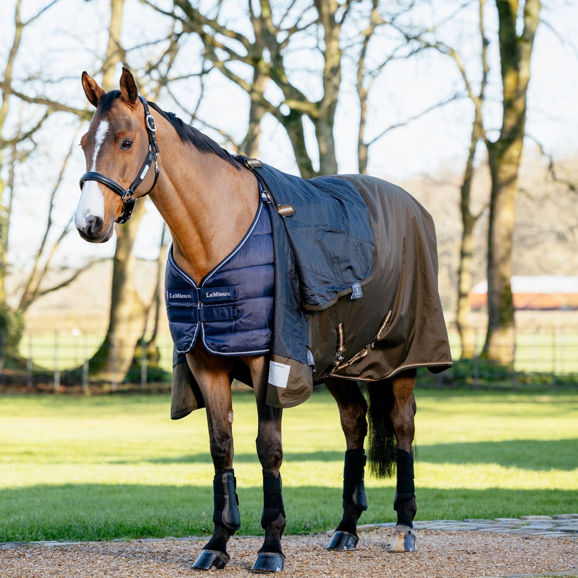 Ein Pferd trägt die LeMieux Unterdecke 200 g Navy mit darüberliegender LeMieux Arika Ripstop Turnout Rug Alpine. Das Bild zeigt, dass über der Unterdecke sowohl Stalldecken als auch Weidedecken getragen werden können. Es verdeutlicht die zahlreichen Variationsmöglichkeiten mit unterschiedlichen Füllungen für eine individuelle Temperaturanpassung. Ideal für Ponys oder Pferde mit verschiedenen Bedürfnissen, bietet Flexibilität, Komfort und optimalen Schutz bei allen Wetterbedingungen.