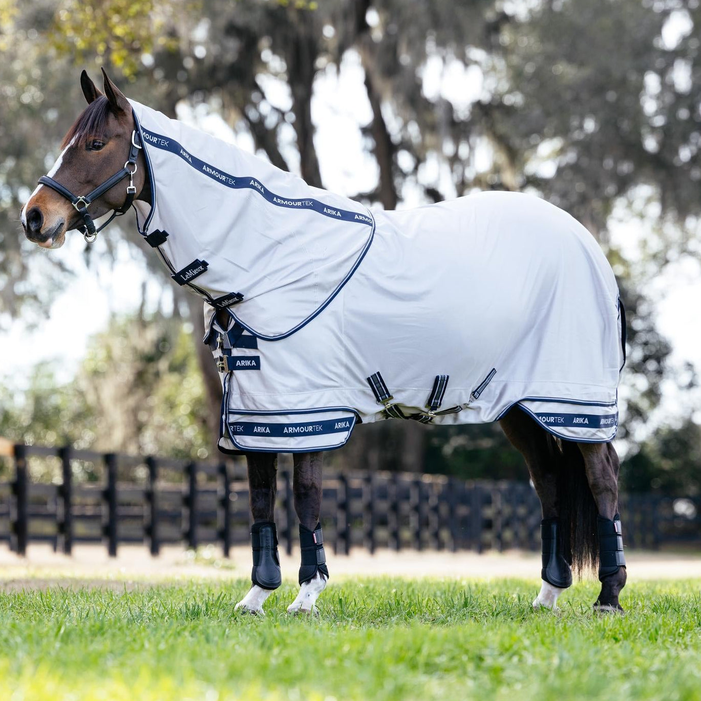 Seitenansicht der eleganten LeMieux Fliegendecke Arika Armour-Tek in Grau auf einem Pferd auf der Weide, wobei der zweiteilige Deckensaum mit marineblauen Einfassungen und das perfekt sitzende, abnehmbare Halsteil bei entspannter Halshaltung sichtbar sind. Der längere Deckenschnitt fällt sofort positiv ins Auge.
