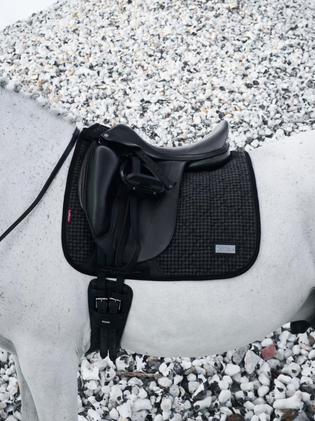 Die LeMieux Schabracke Aspen Dressage Square Houndstooth liegt unter einem Dressursattel auf einem weißen Pferd. Die Schabracke liegt sehr gut und ist mit der elastischen D-Ring Befestigung am Sattel befestigt, um nicht zu verrutschen. Das Hahnentrittmuster sieht sehr elegant aus und steht im Kontrast zu dem weißen Fell des Pferdes. Das schwarze Einfassband betont diesen Kontrast noch einmal. Die Ecken der Schabracke sind abgerundet. Der Sattelgurt verläuft durch das Verriegelungssystem.
