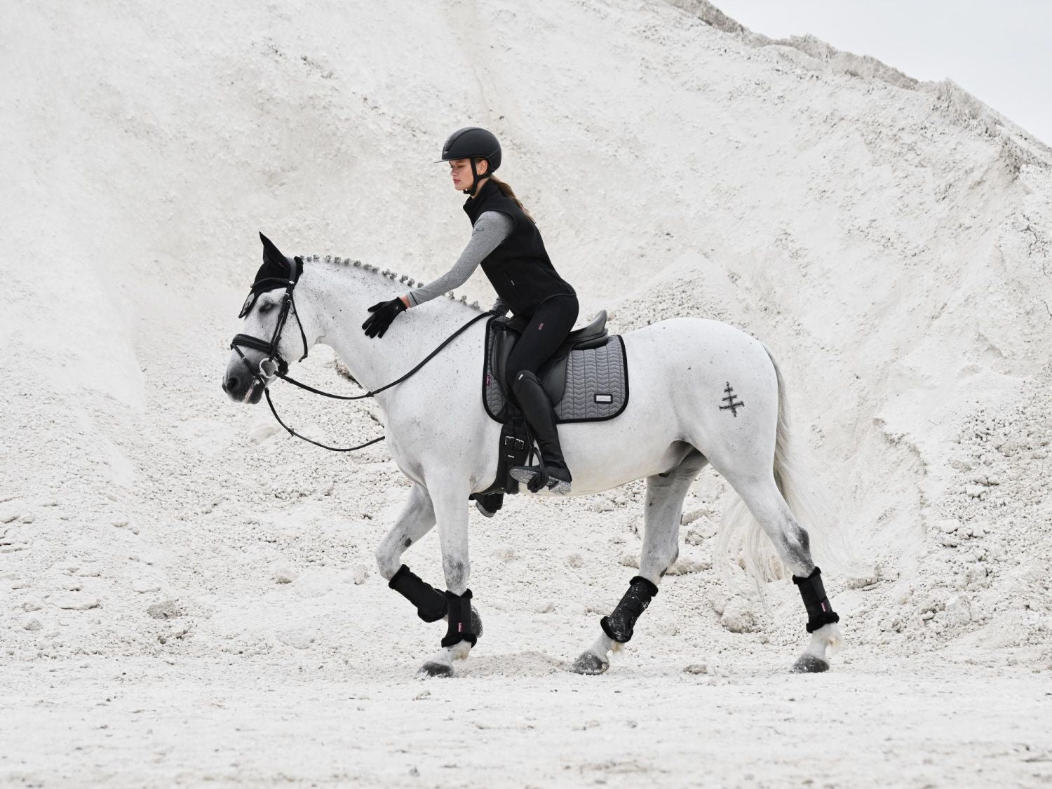 Reiterin und Pferd im eleganten Partnerlook mit LeMieux Aspen Dressage Square Herringbone schwarz weiß Schabracke, modische Capsule Collection, stilvolle Dressurausrüstung.