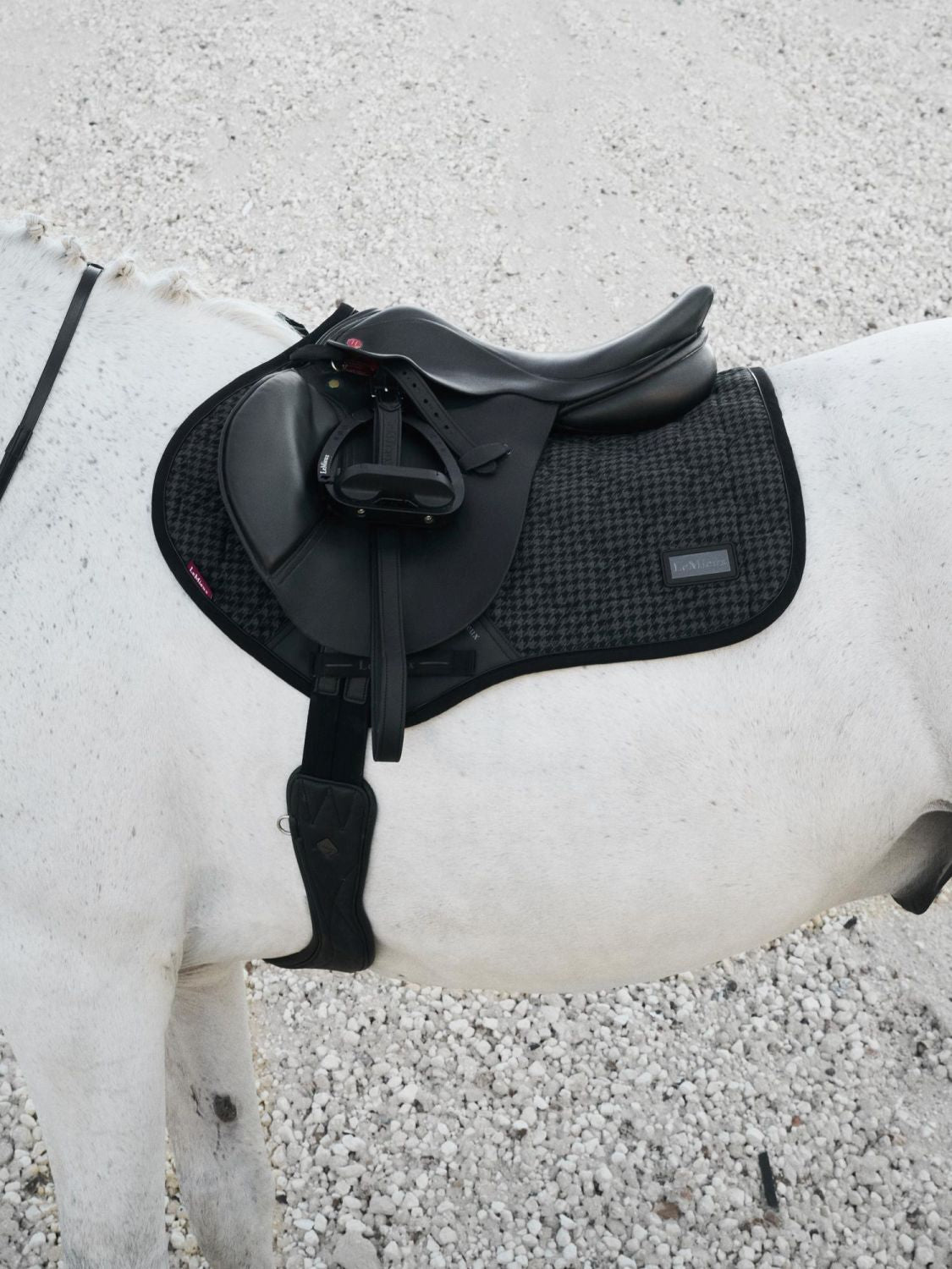 Pferd mit LeMieux Aspen Close Contact Square Houndstooth Schabracke schwarz grau aus der Aspen Kollektion, elegante Springschabracke mit Hahnentrittmuster und innovativem Verriegelungssystem. Direkt unter dem Sattel auf einem weißen Pferd.