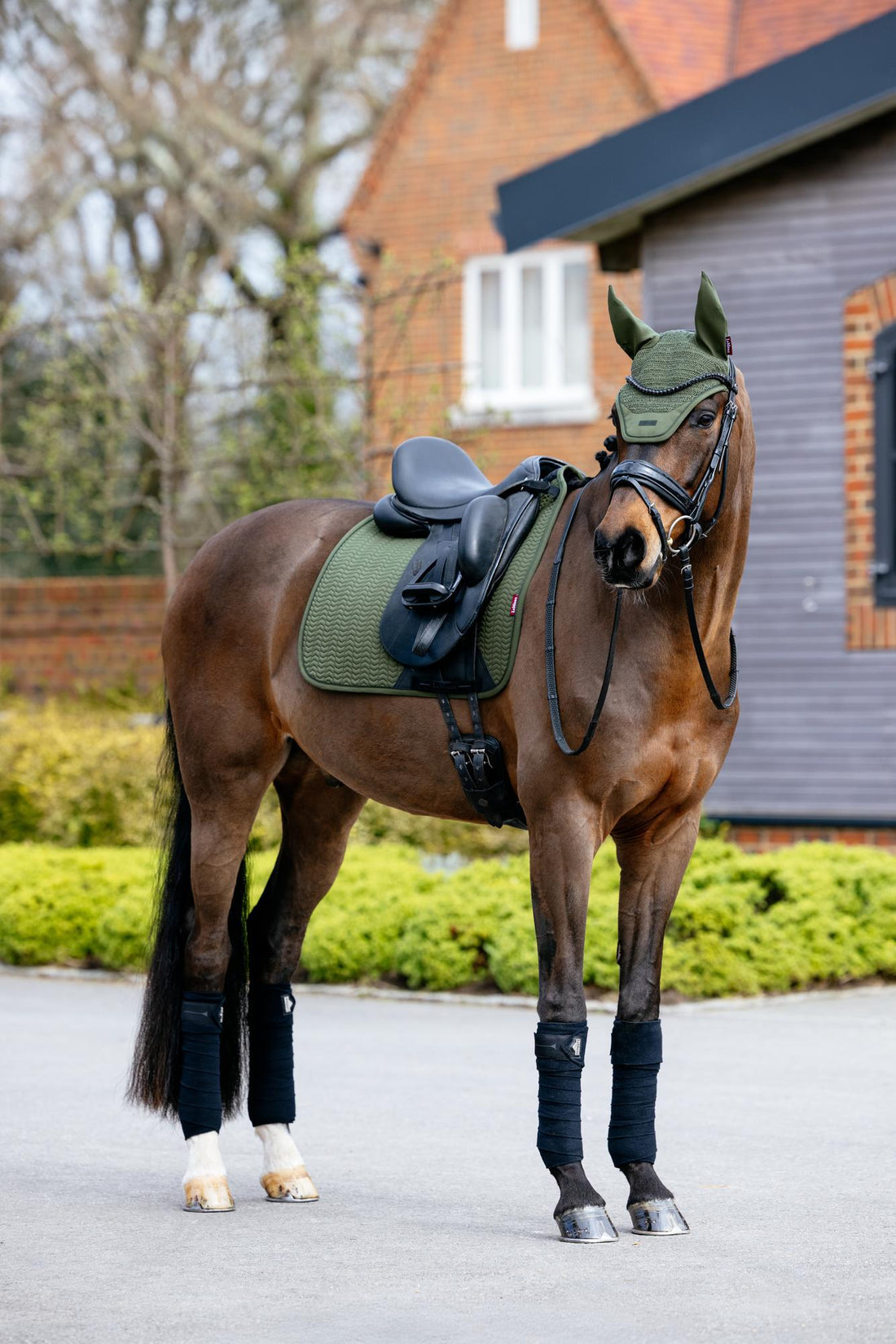 LeMieux Essence Dressage Square Pine Green unter dem Sattel am Pferd mit passender Fliegenmütze Essence und Loire Polo Bandagen in Schwarz