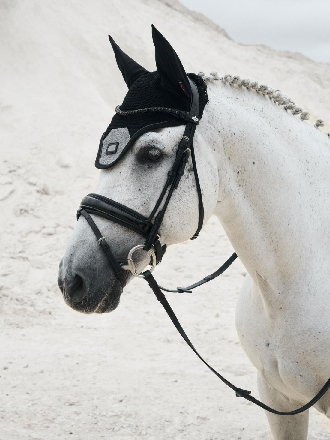 Weißes Pferd (Schimmel) mit Trense trägt die LeMieux Fliegenmütze Aspen Herringbone Black – edle Reitfliegenhaube im Fischgrätmuster mit perfekter Passform und stilvollen Lackdetails. Luxuriöser Insektenschutz und elegante Ergänzung zur Aspen Kollektion.